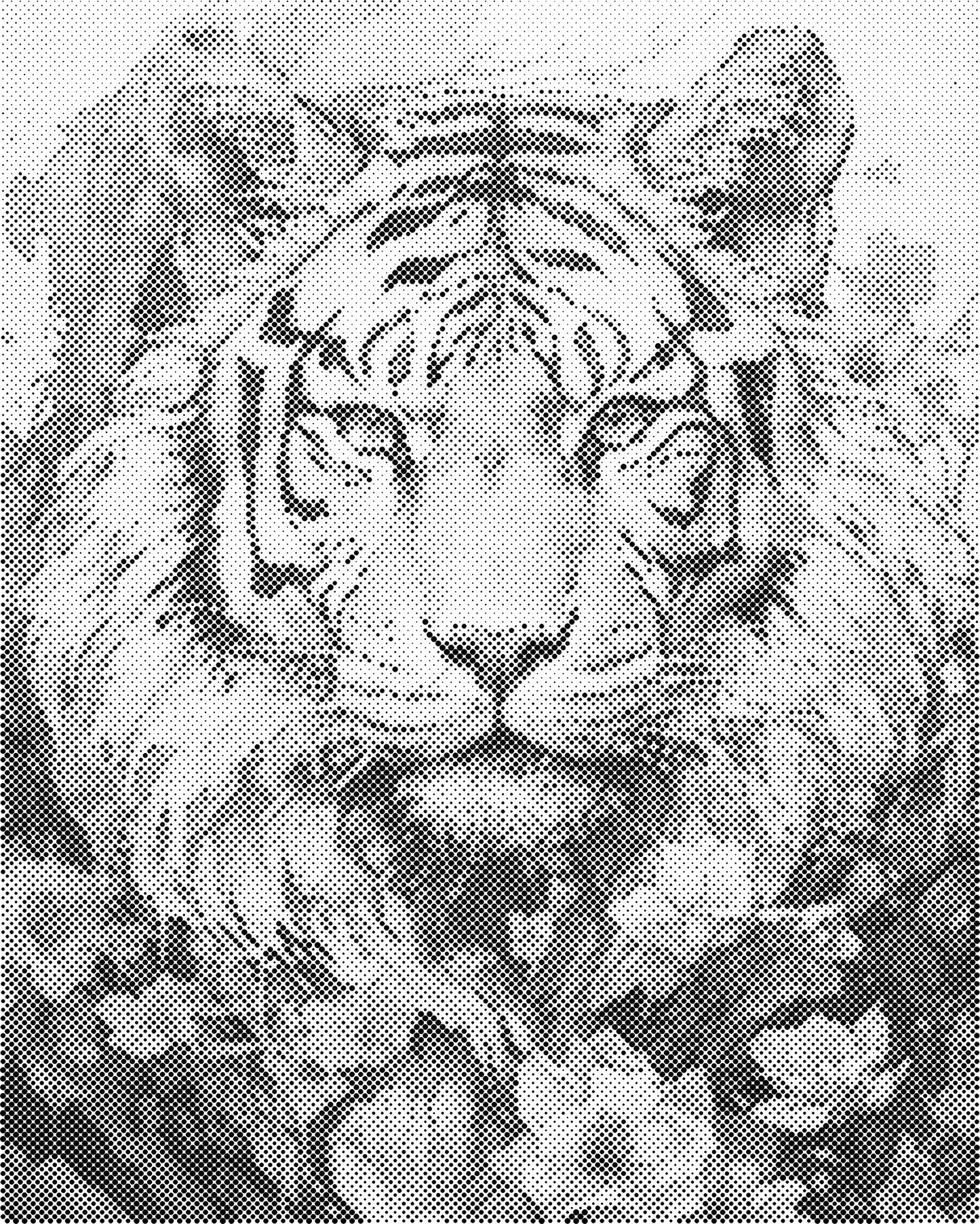 DOT Painting 40x50cm - Dierenmotief - Één Kleur Stippen - stippelschilderij - Tijger 01