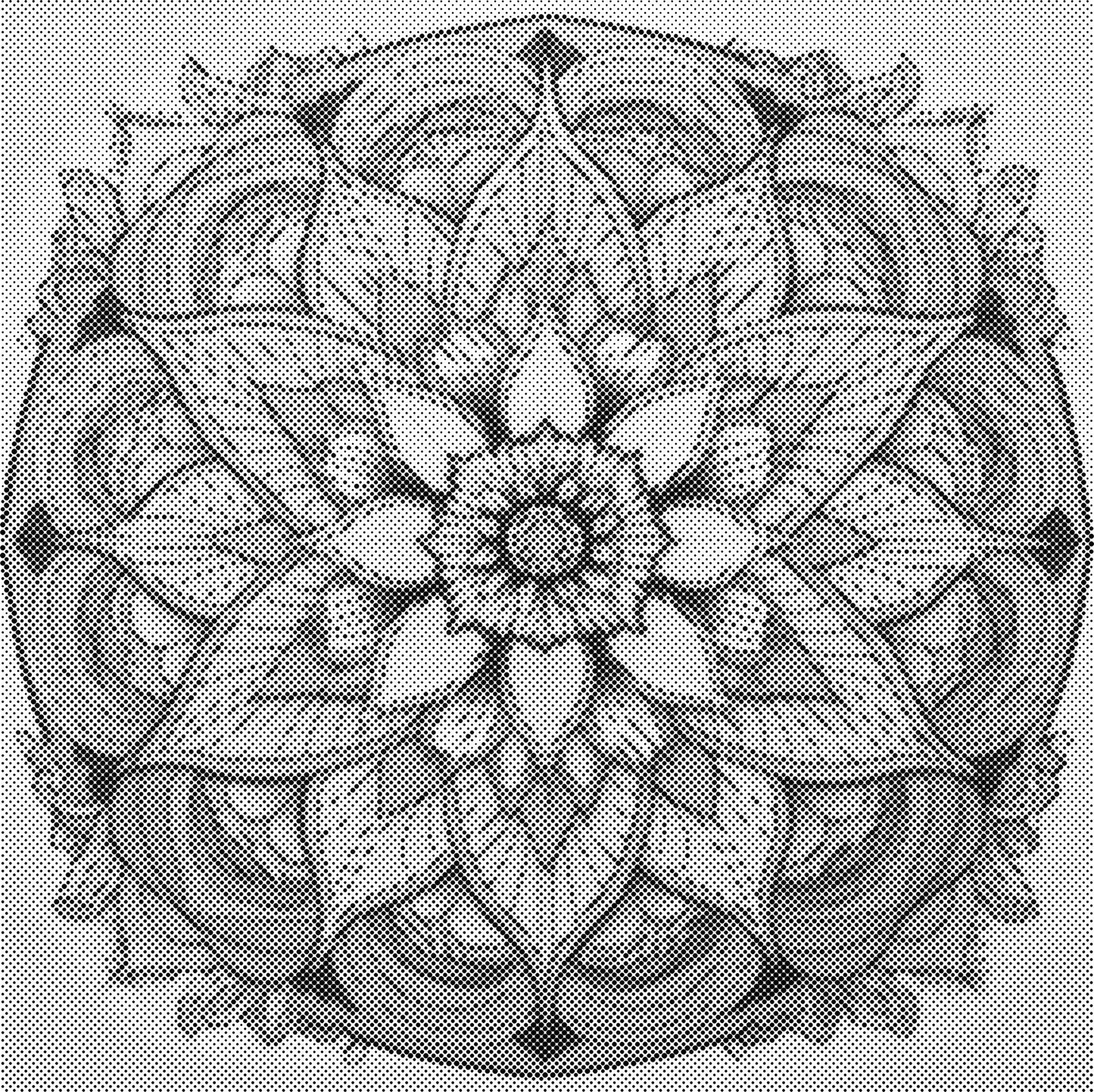 DOT Painting - Mandala Eén Kleur (40x40 cm)