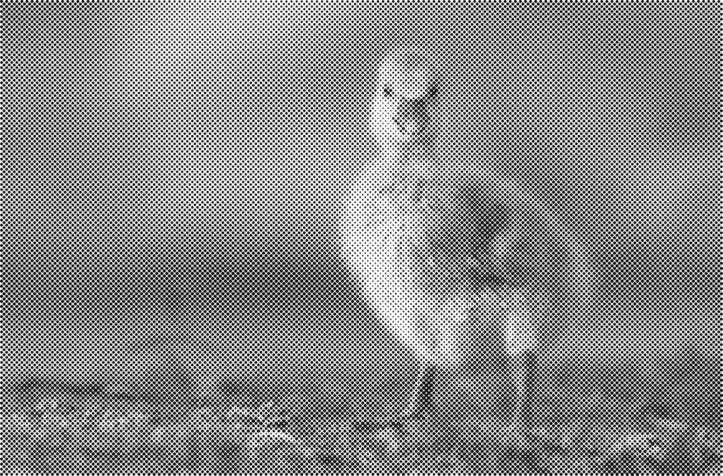 DOT Painting Honden, Eenden en Vogels - Verkrijgbaar in 40x60cm, 50x75cm, en 60x90cm