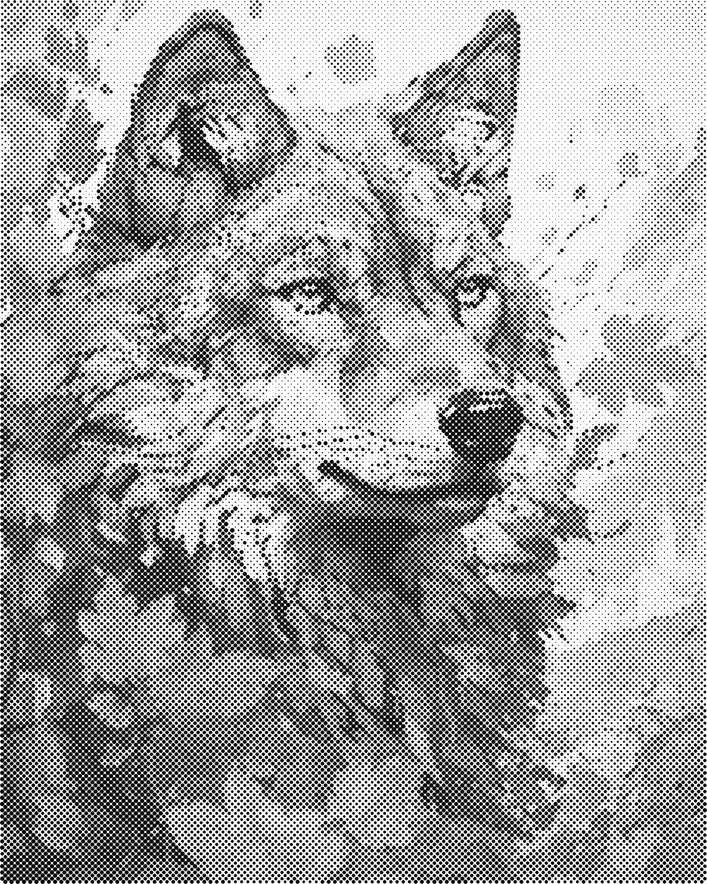 DOT Painting 40x50cm - Dierenmotief - Één Kleur Stippen - stippelschilderij - Wolf 01