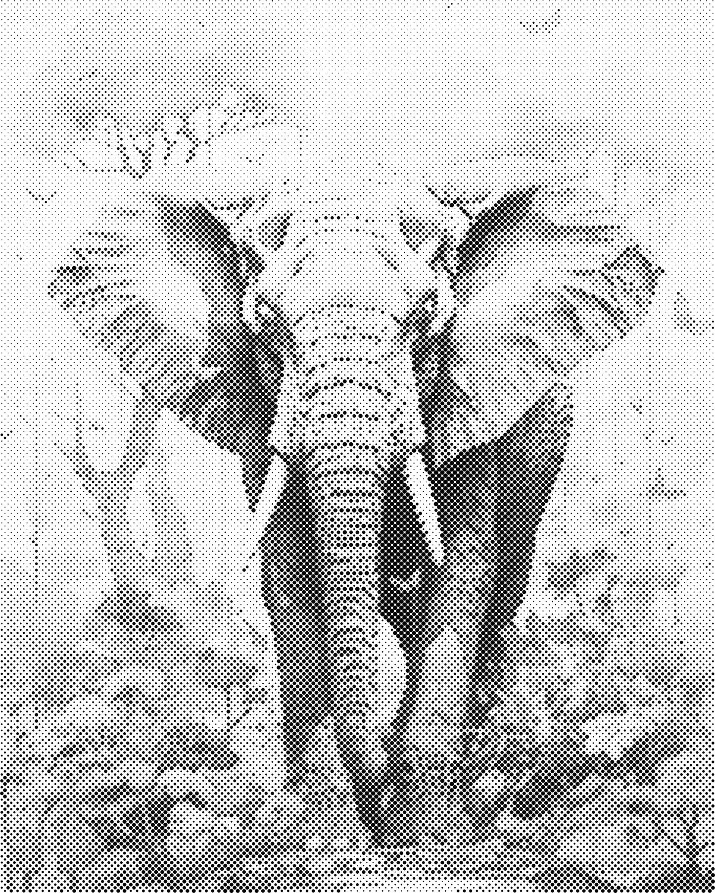 DOT Painting 40x50cm - Dierenmotief - Één Kleur Stippen - stippelschilderij - Olifant