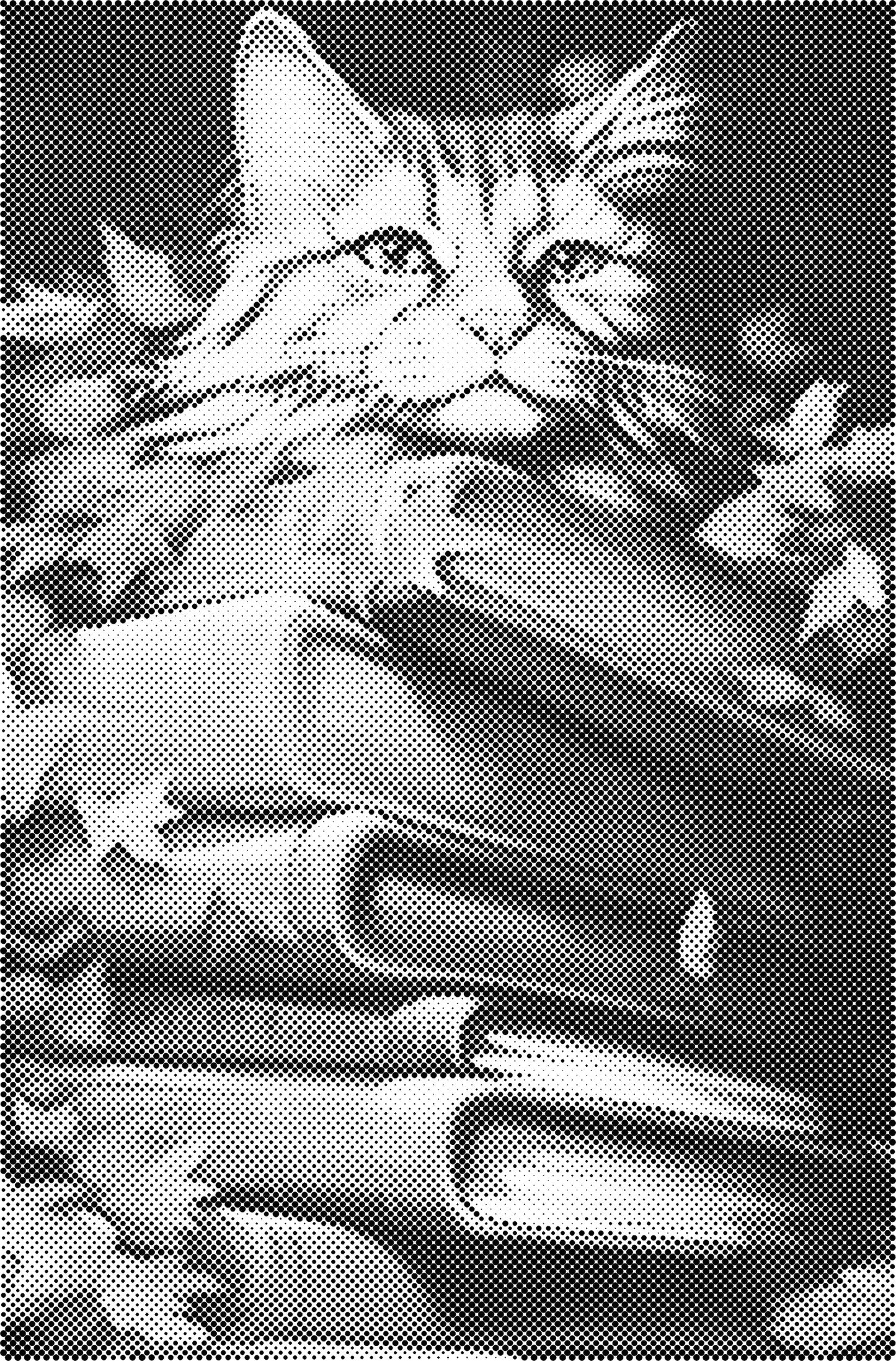 DOT Painting - Dieren op Voorbedrukt Canvas (40x60cm, 50x75cm, 60x90cm)