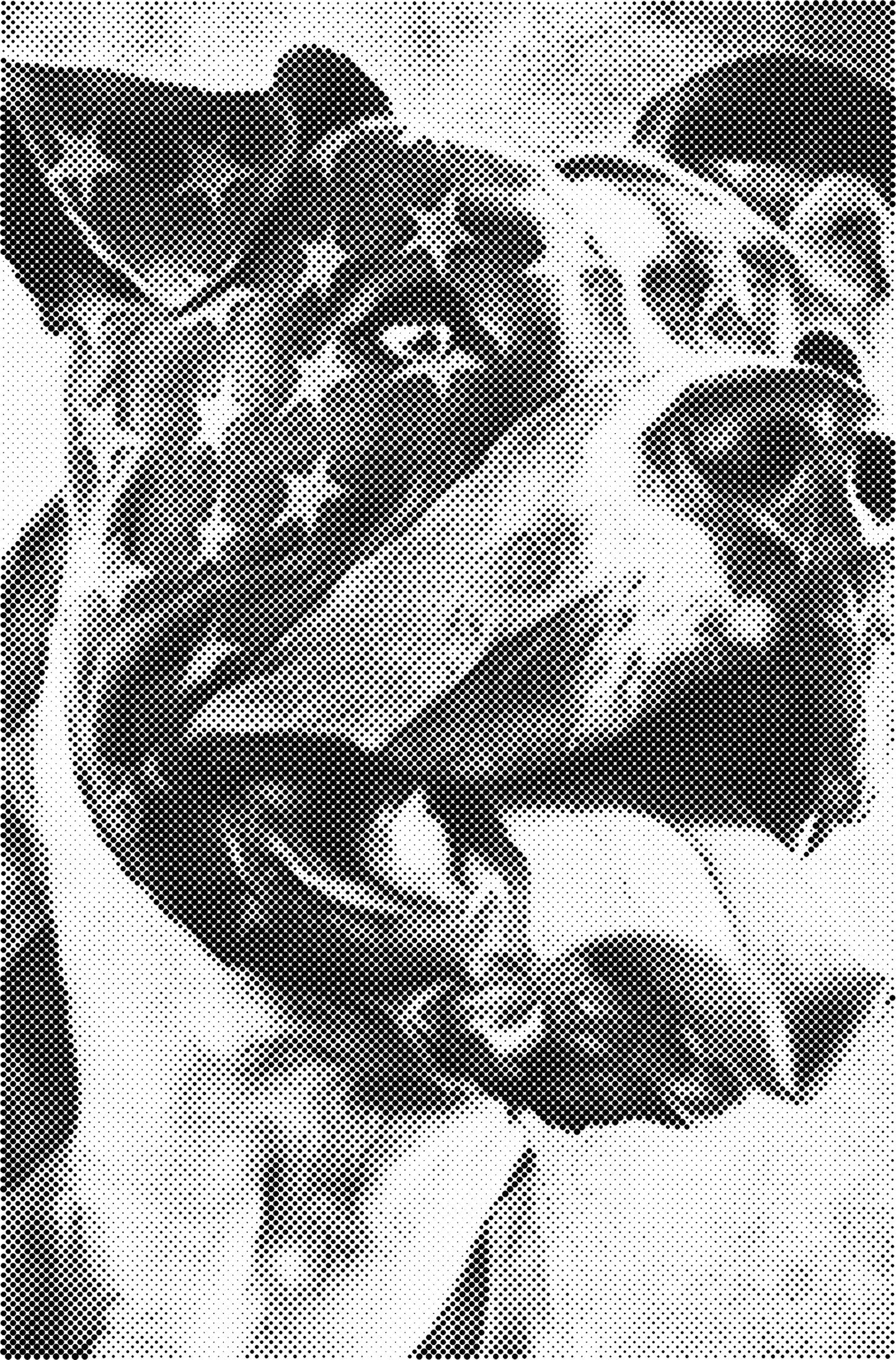 DOT Painting - Dierencollectie | Luipaard, Vogel, Hond, Ezel, Kat, Adelaar, Papegaai & Meer