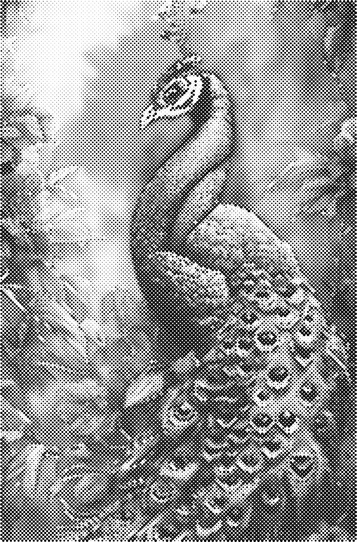 DOT Painting - Dieren op Voorbedrukt Canvas (40x60cm, 50x75cm, 60x90cm)