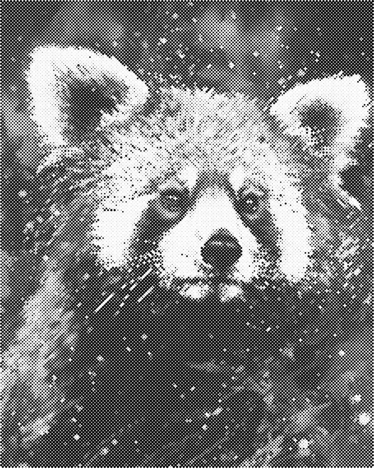 DOT Painting 40x50cm - Dieren Stippelkunst in Één Kleur