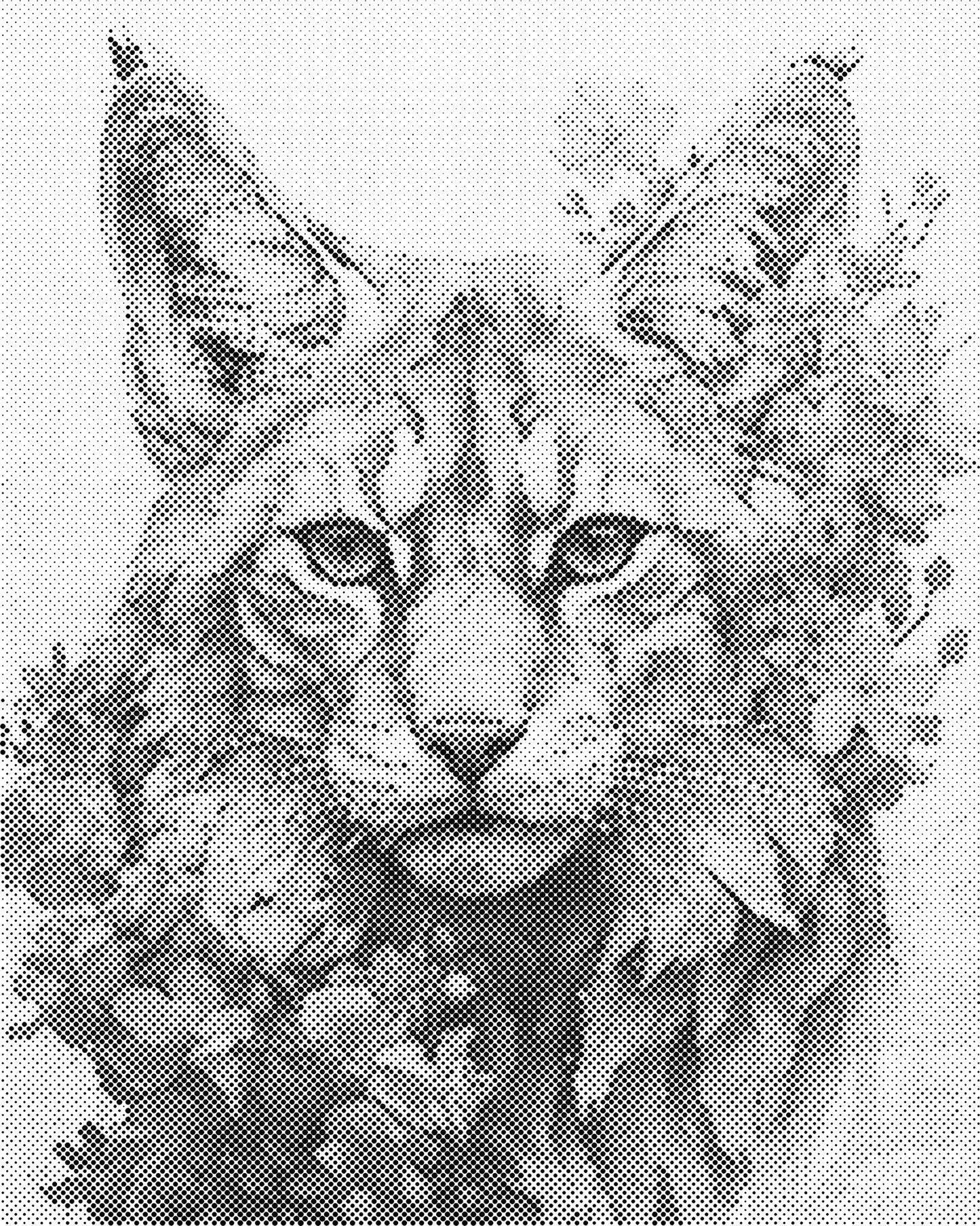 DOT Painting 40x50cm - Dierenmotief - Één Kleur Stippen - stippelschilderij - Kat