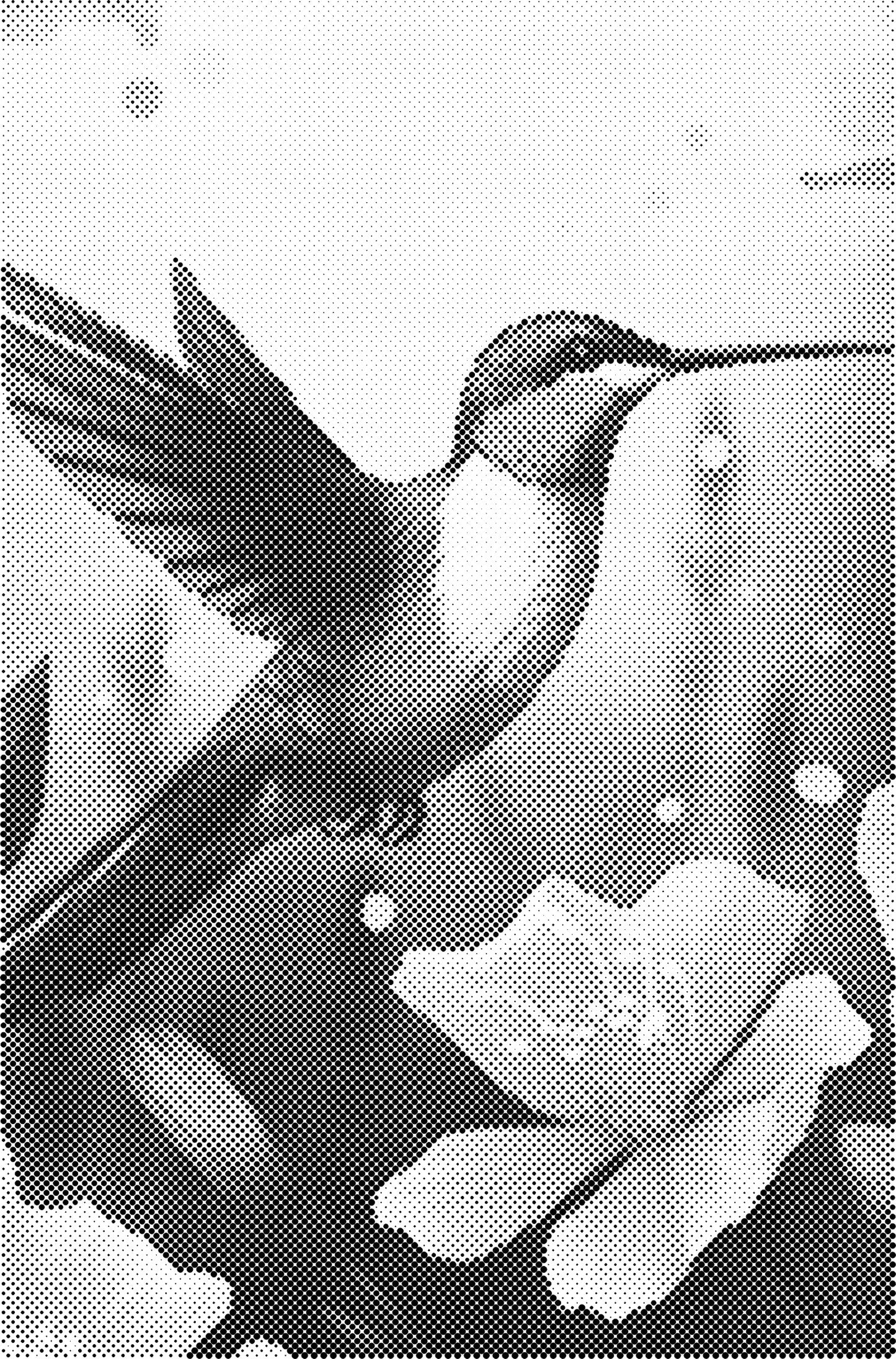 DOT Painting - Dieren op Voorbedrukt Canvas (40x60cm, 50x75cm, 60x90cm)