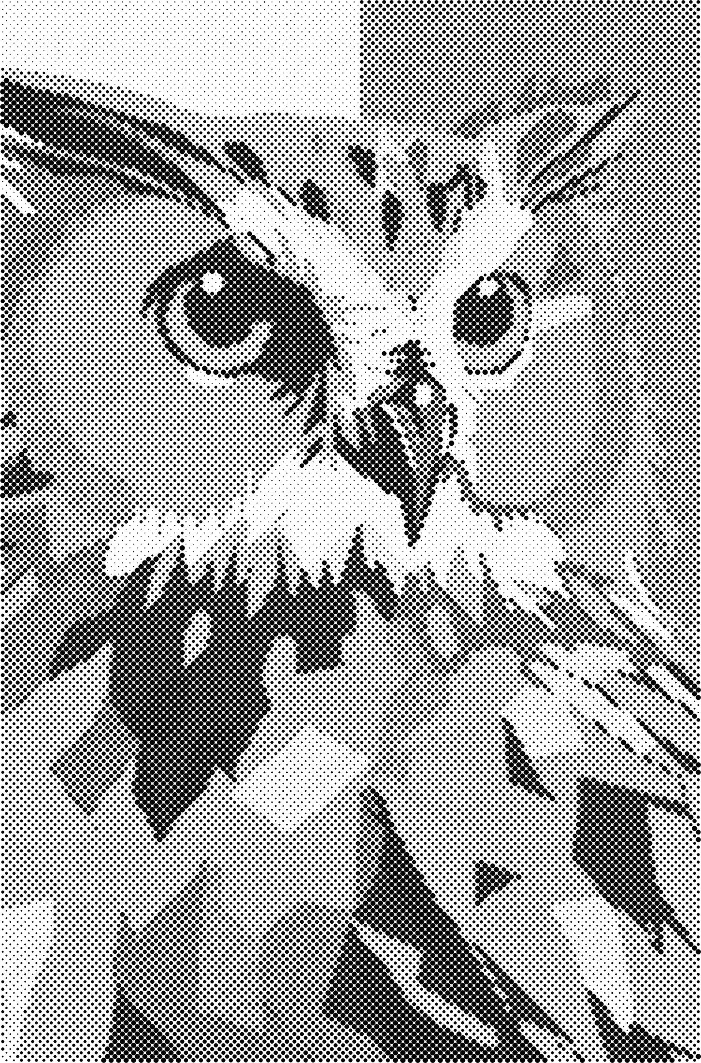 DOT Painting - Dieren op Voorbedrukt Canvas (40x60cm, 50x75cm, 60x90cm)