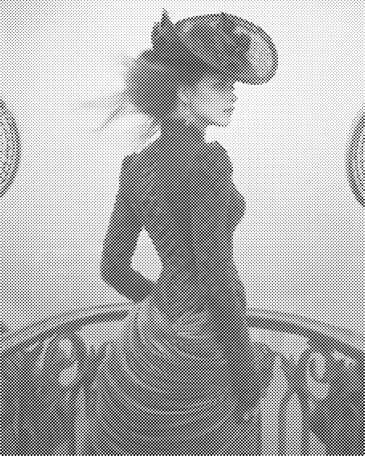 DOT Painting - Steampunk Portret (40x50 cm of 60x75 cm)