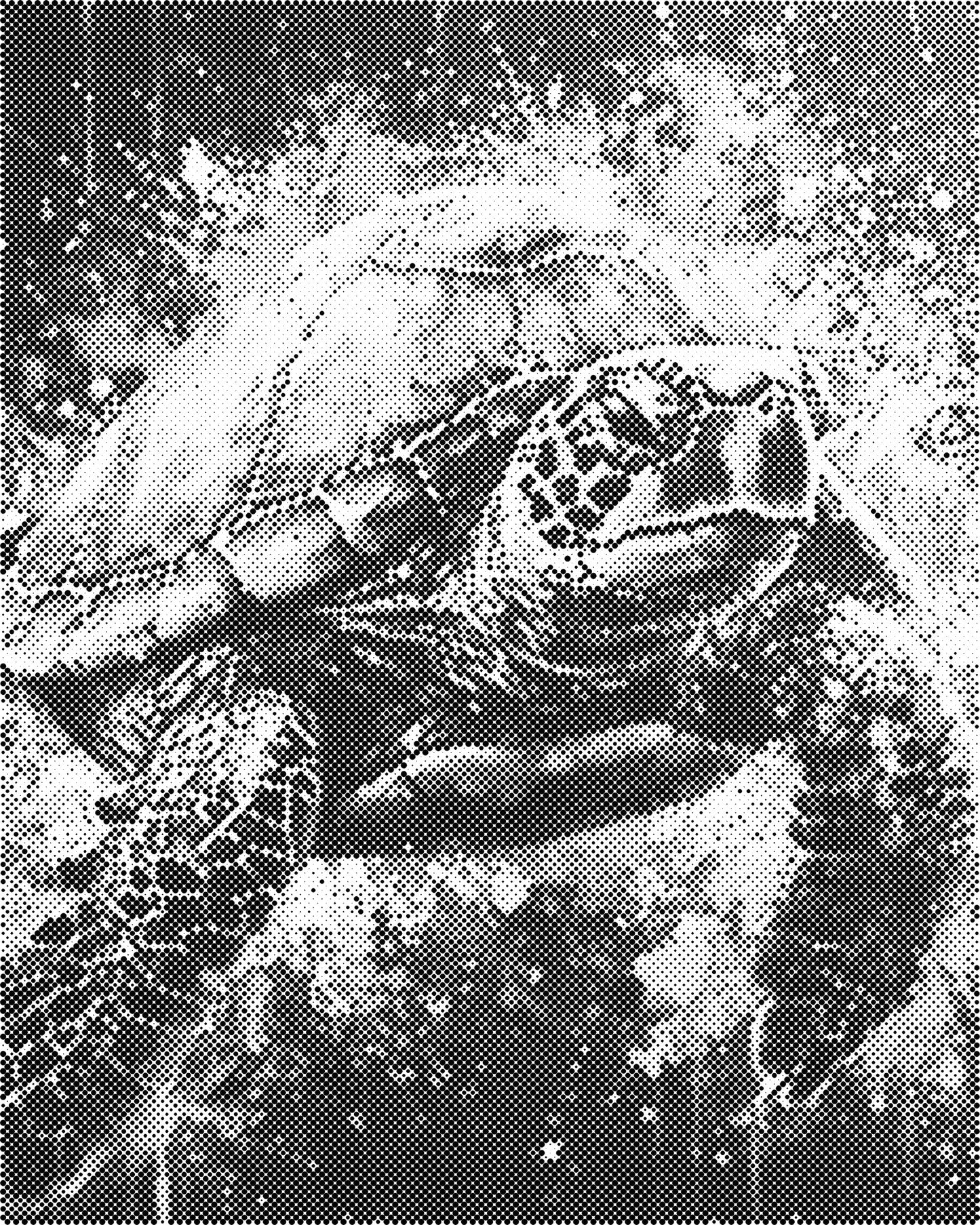 DOT Painting 40x50cm - Dieren Stippelkunst in Één Kleur
