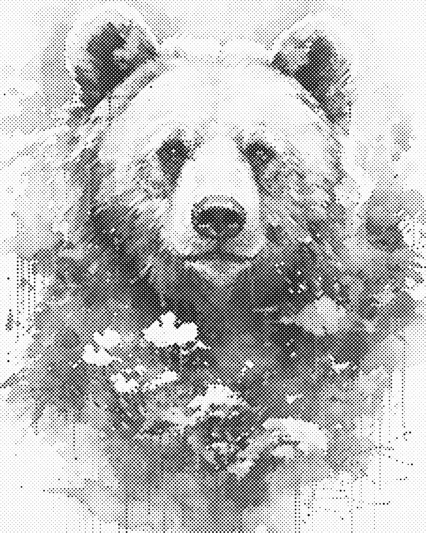 DOT Painting 40x50cm - Dierenmotief - Één Kleur Stippen - stippelschilderij - Panda