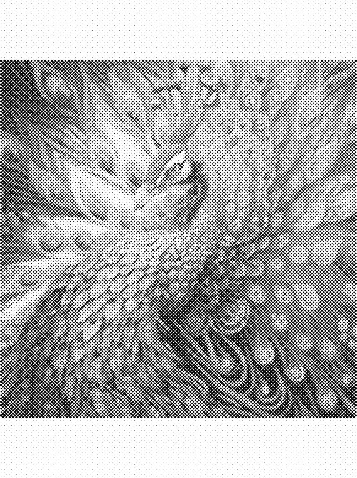 DOT Painting Dieren 30x40cm - 1 kleur stippen - stippelschilderij - Pauw