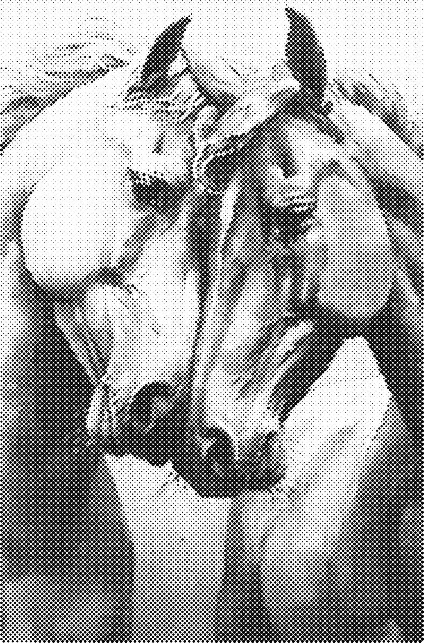 DOT Painting - Dieren op Voorbedrukt Canvas (40x60cm, 50x75cm, 60x90cm)