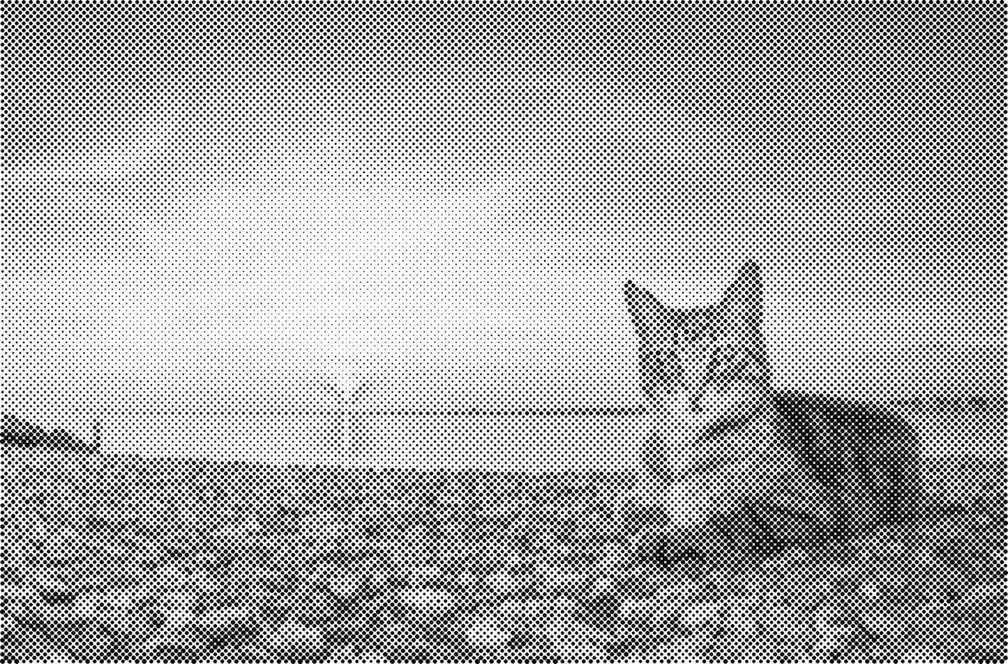 DOT Painting Big Cats - Leeuw, Tijger en Luipaard