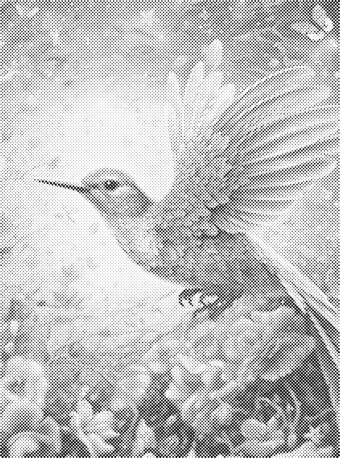 DOT Painting Dieren 30x40cm - 1 kleur stippen - stippelschilderij - Vogel