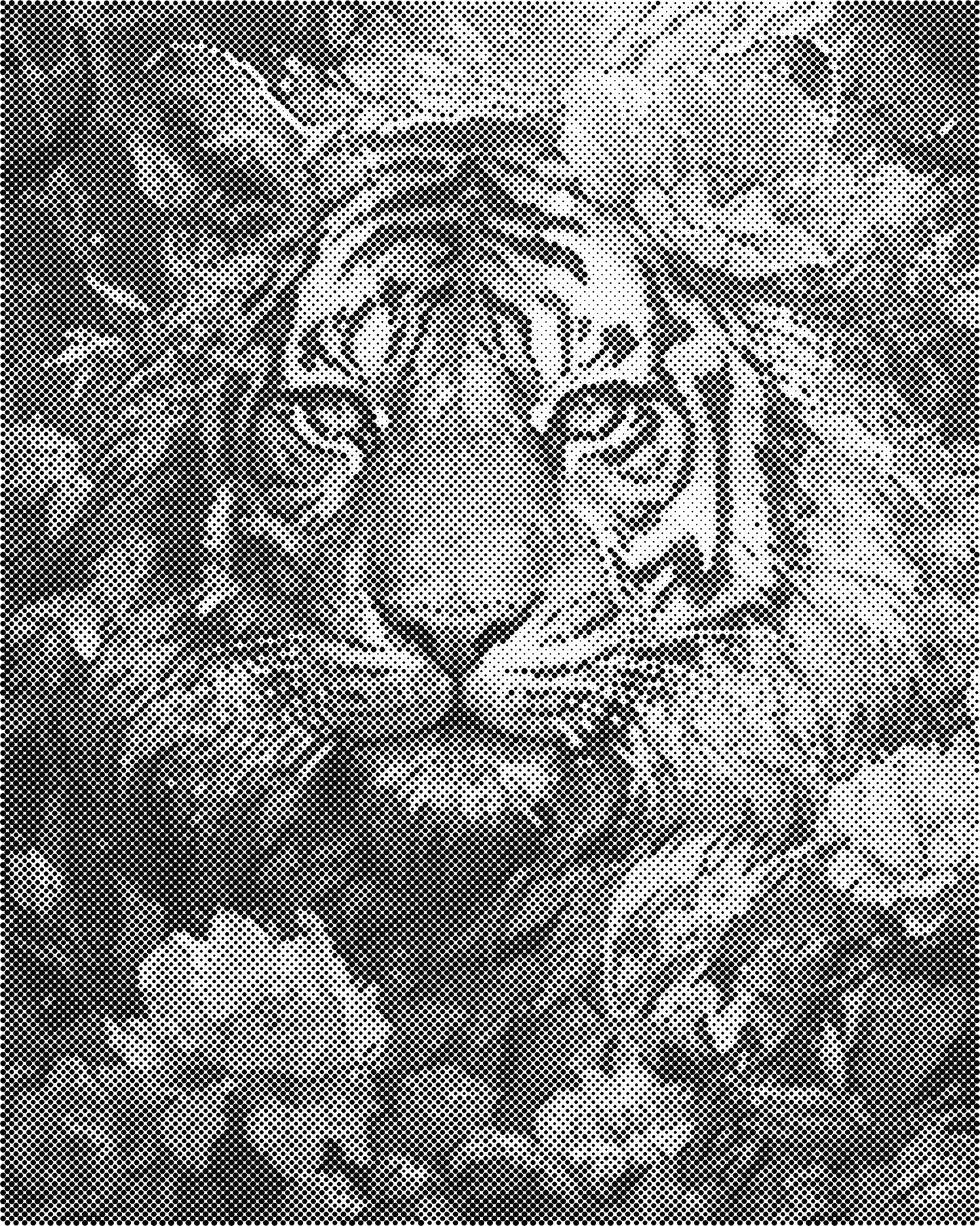 DOT Painting 40x50cm - Dierenmotief - Één Kleur Stippen - stippelschilderij - Tijger 02