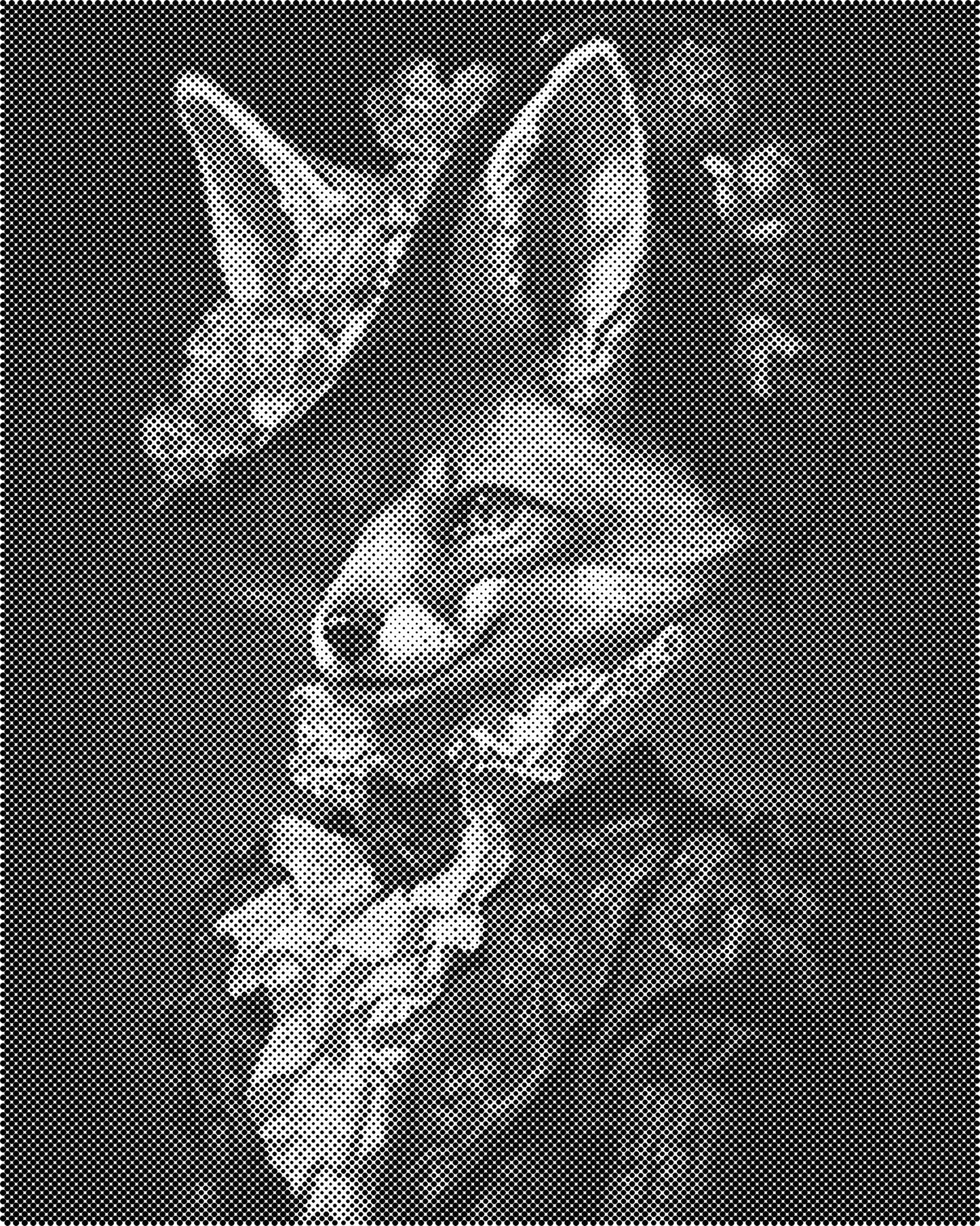 DOT Painting 40x50cm - Dieren Stippelkunst in Één Kleur
