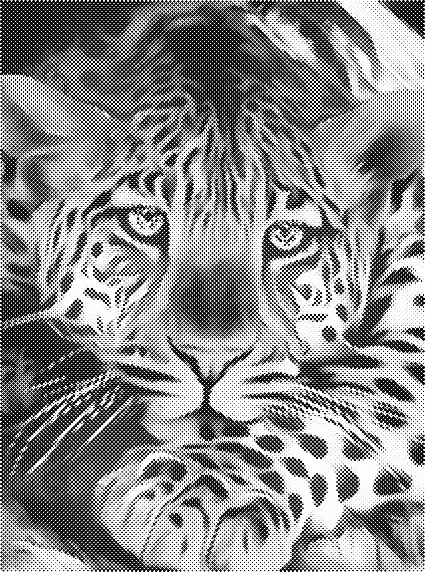 DOT Painting Dieren 30x40cm - 1 kleur stippen - stippelschilderij - Luipaard