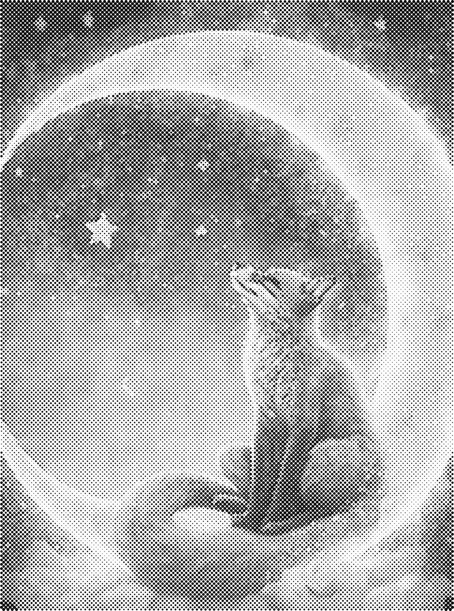 DOT Painting Dieren 30x40cm - 1 kleur stippen - stippelschilderij - Vosje
