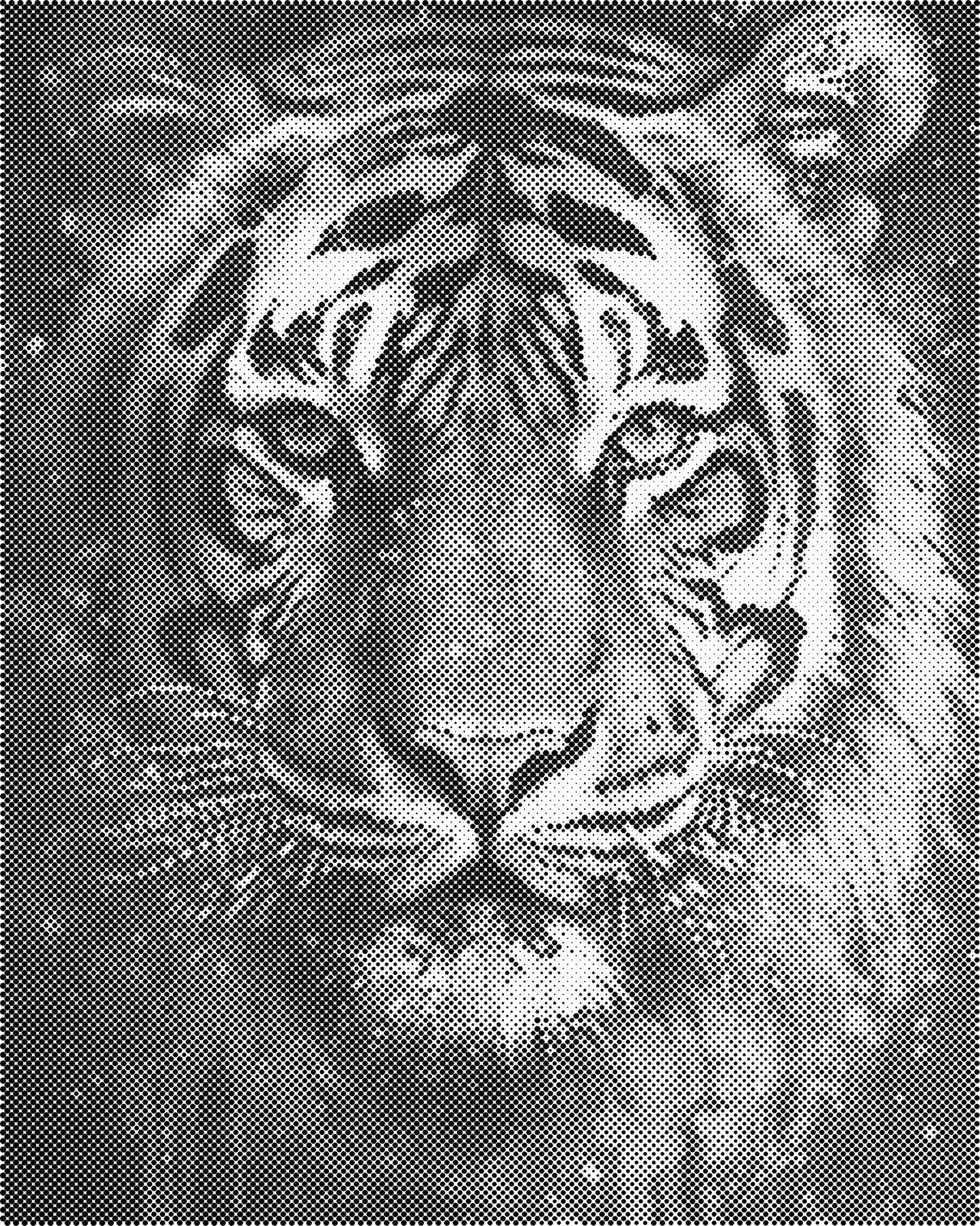 DOT Painting 40x50cm - Dieren Stippelkunst in Één Kleur