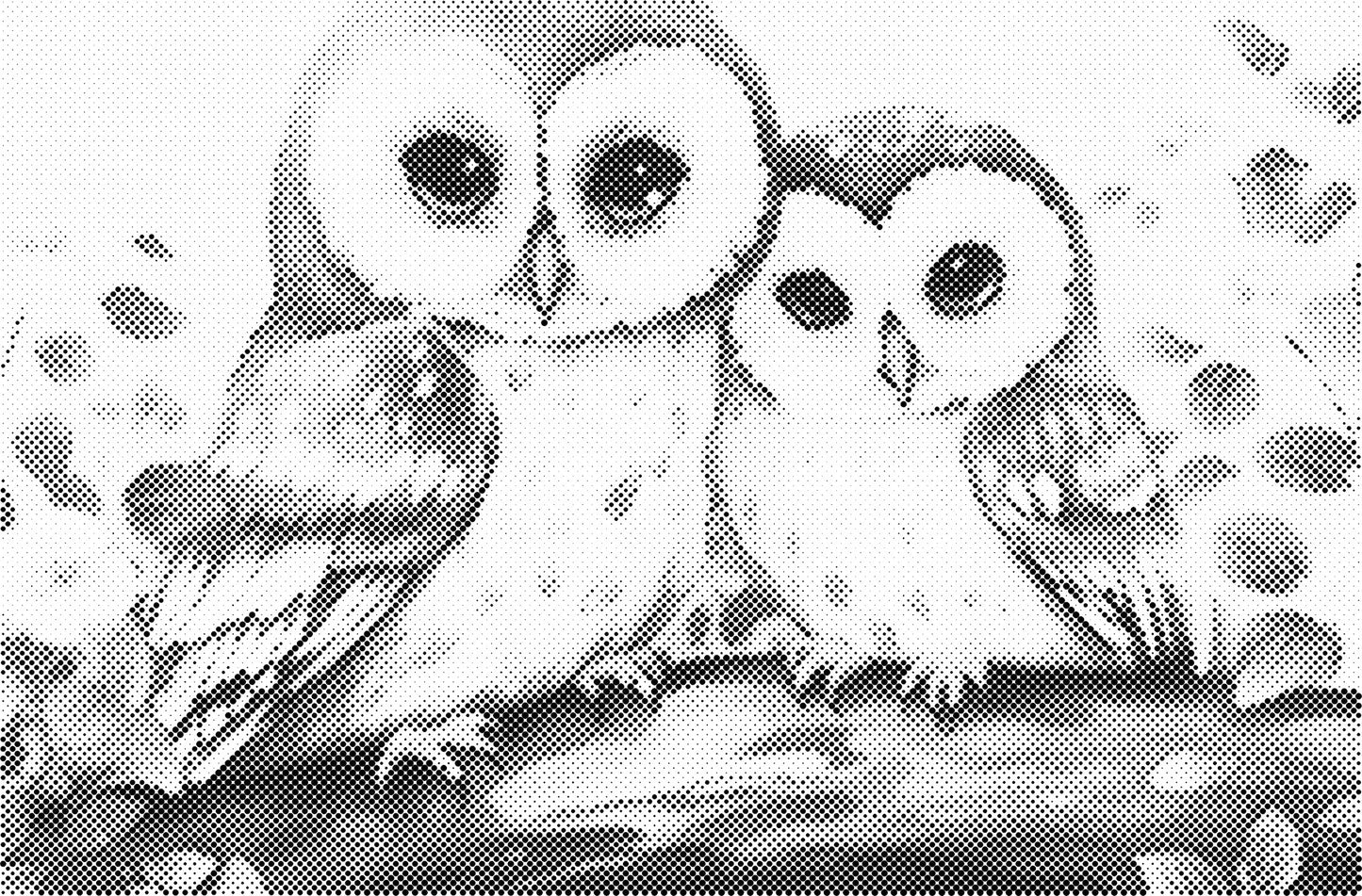 DOT Painting - Dieren op Voorbedrukt Canvas (40x60cm, 50x75cm, 60x90cm)