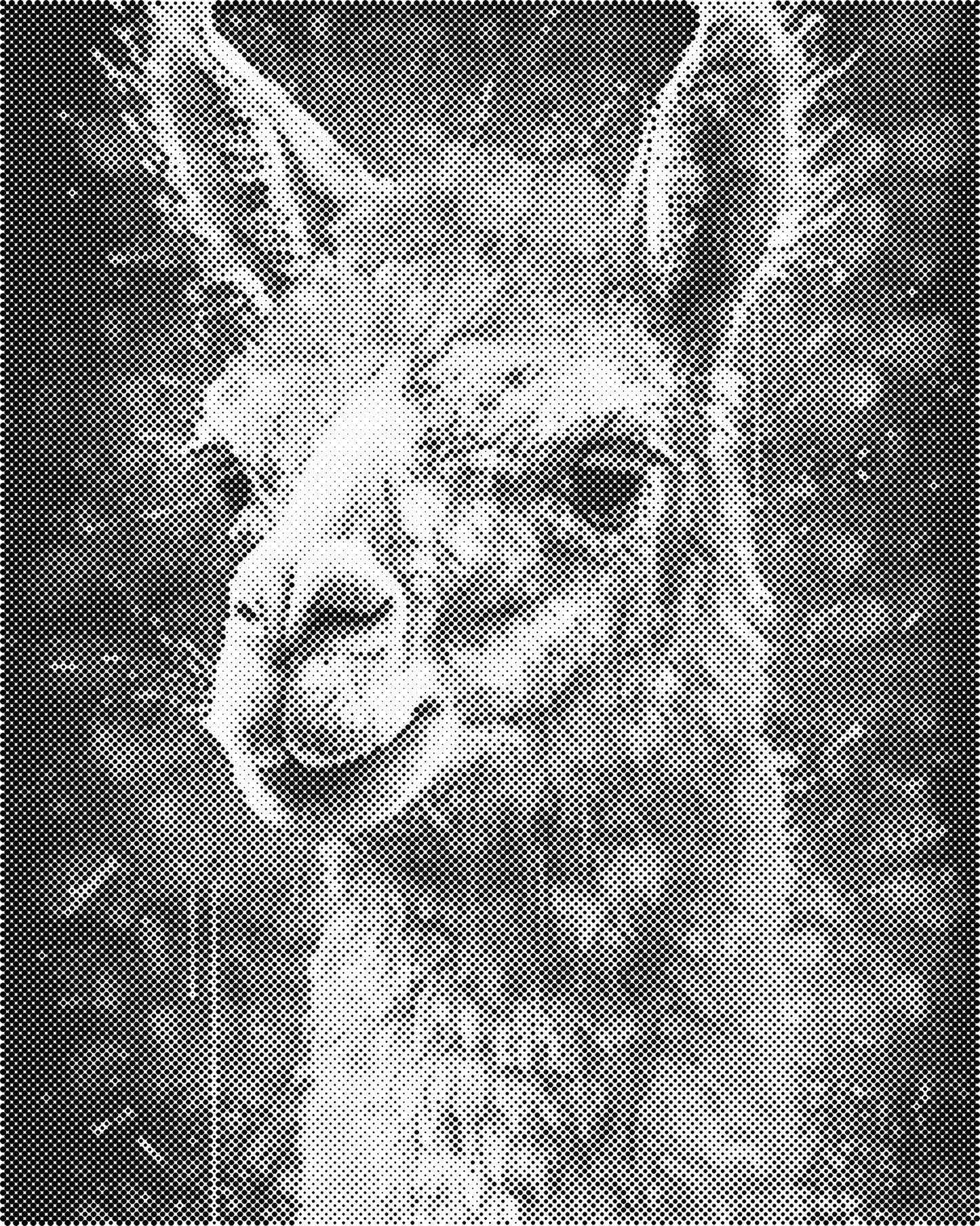 DOT Painting 40x50cm - Dieren Stippelkunst in Één Kleur