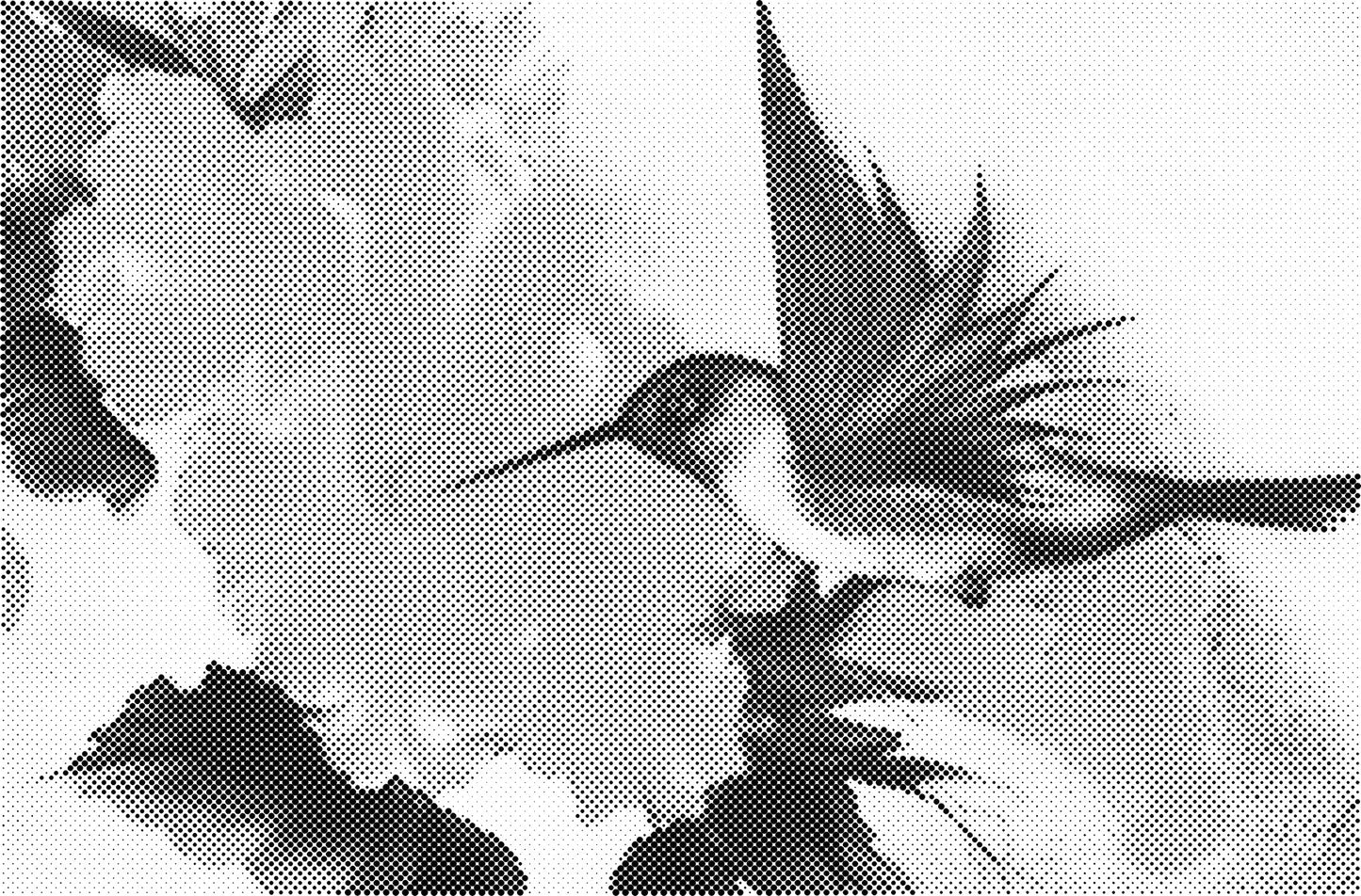 DOT Painting - Dieren op Voorbedrukt Canvas (40x60cm, 50x75cm, 60x90cm)