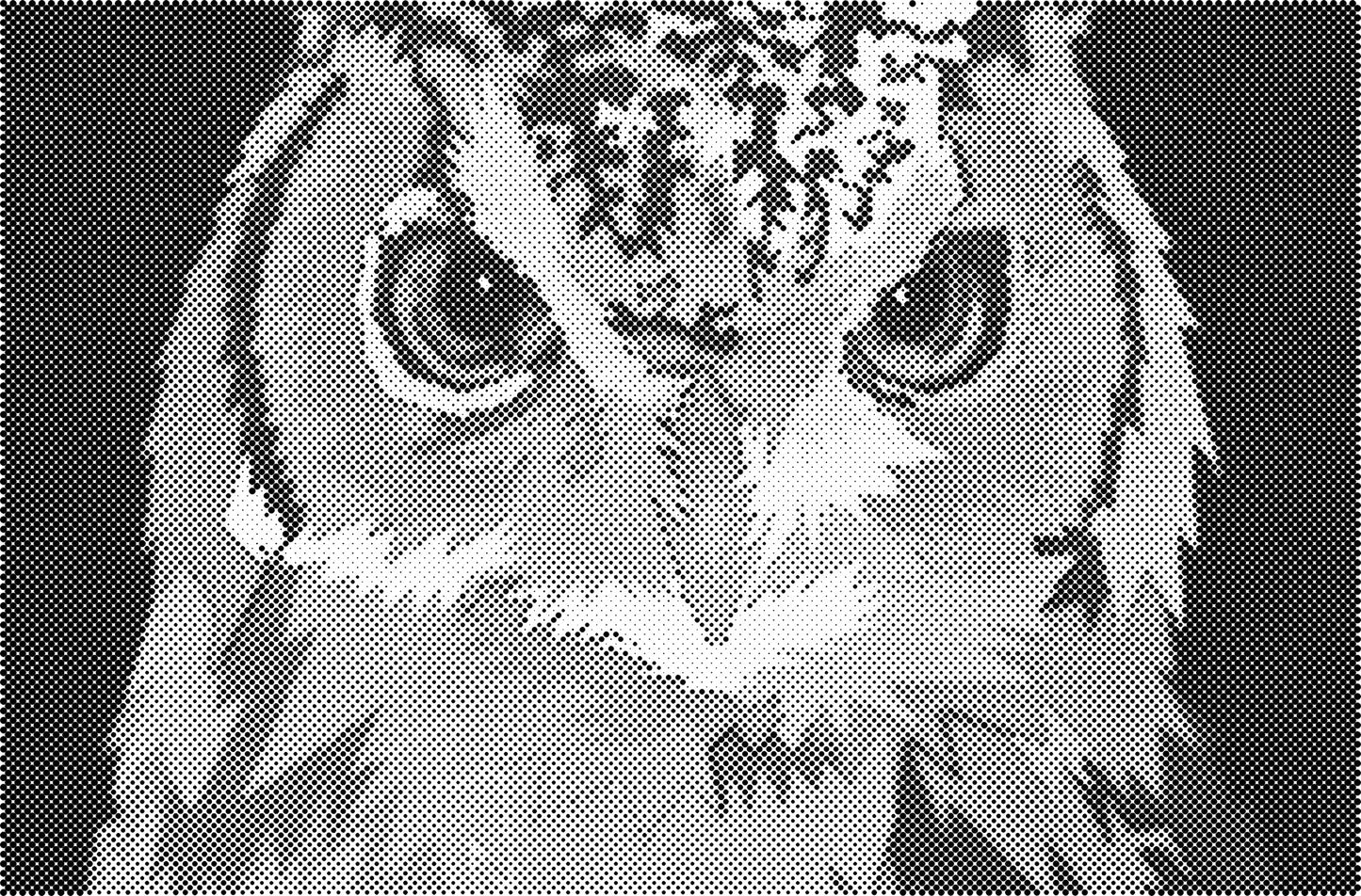 DOT Painting - Dieren op Voorbedrukt Canvas (40x60cm, 50x75cm, 60x90cm)