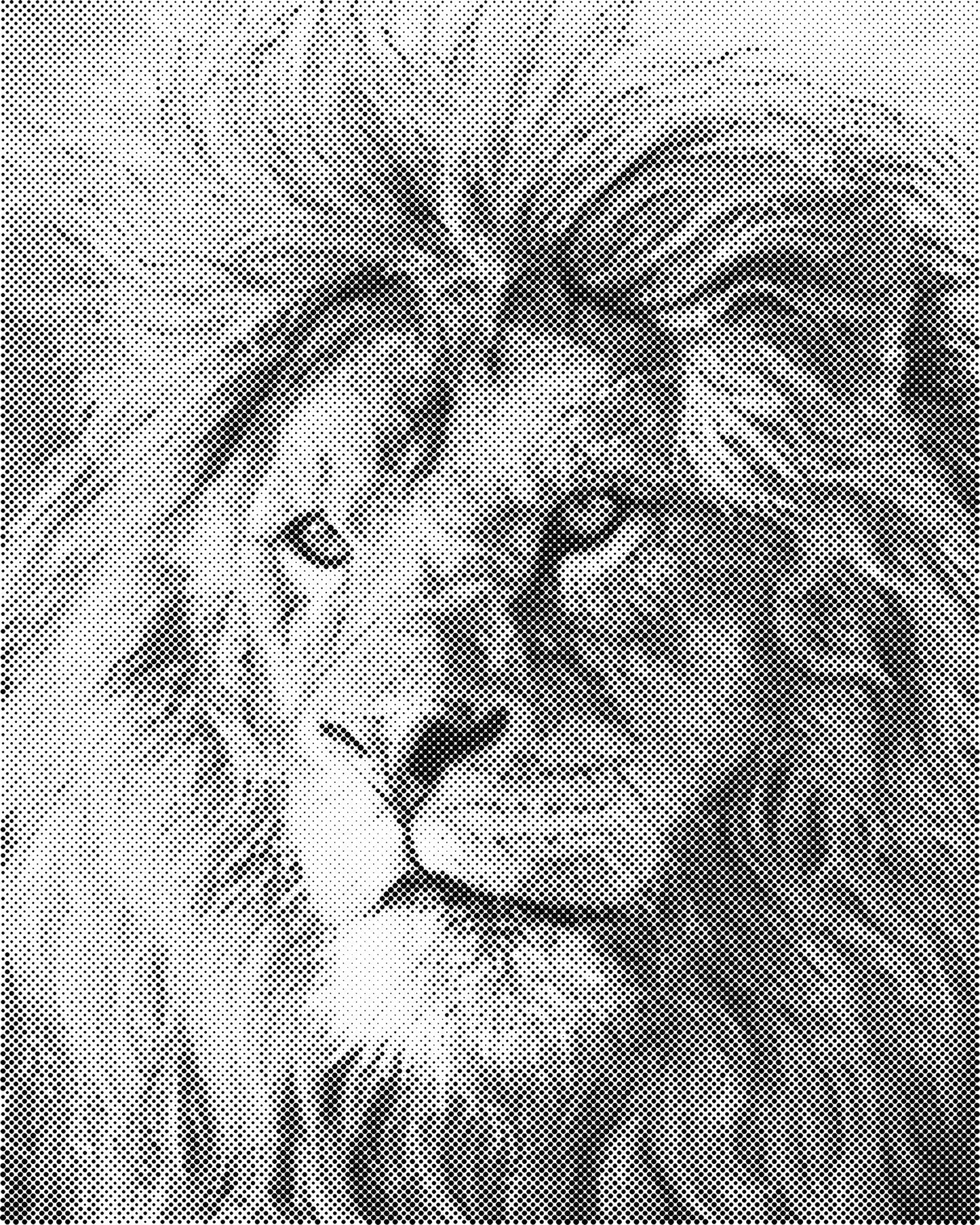 DOT Painting 40x50cm - Dieren Stippelkunst in Één Kleur