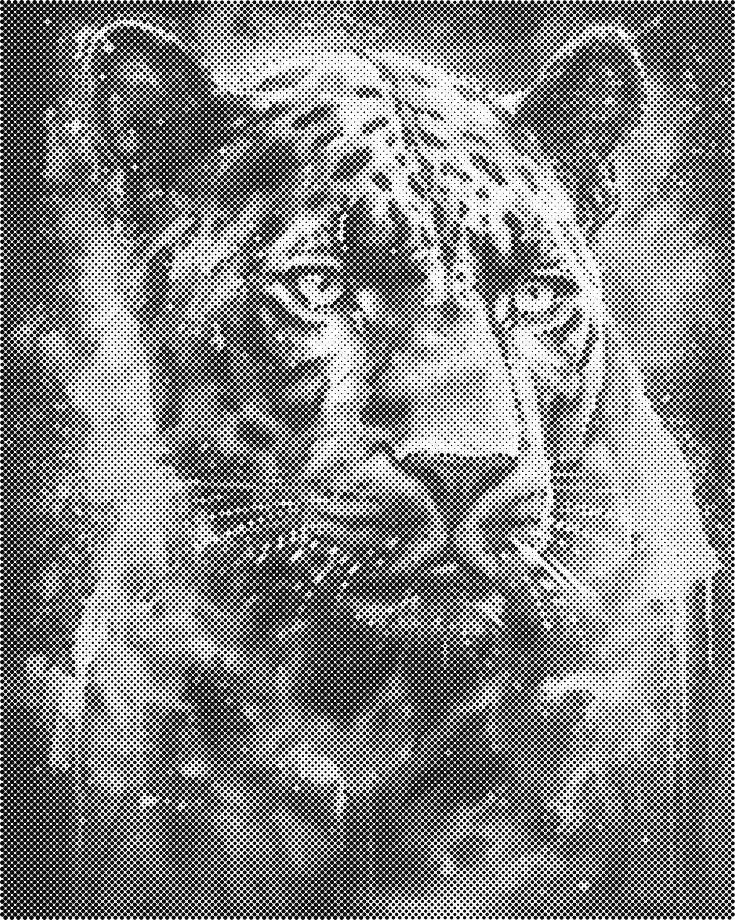 DOT Painting 40x50cm - Dieren Stippelkunst in Één Kleur