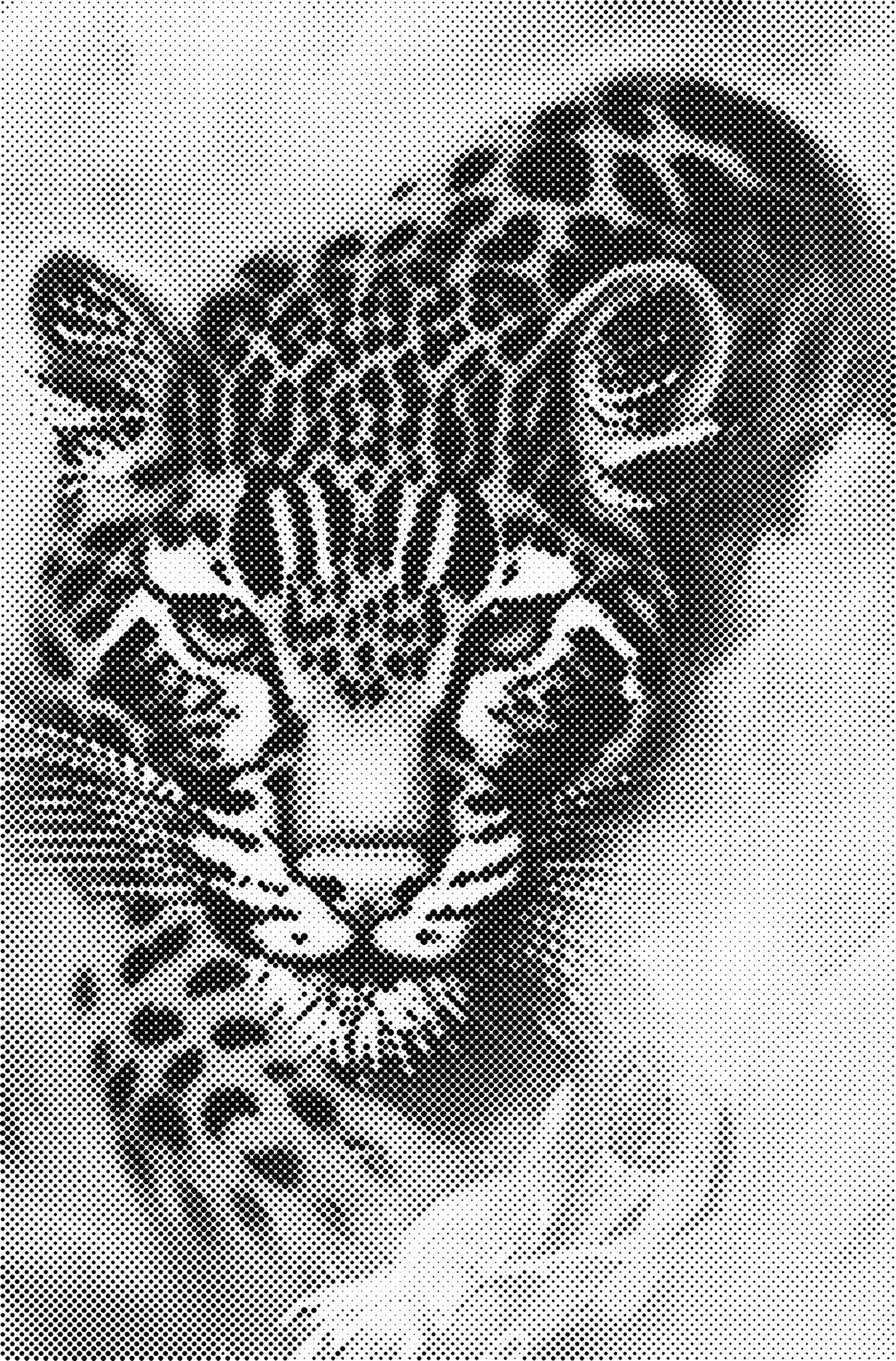 DOT Painting - Dierencollectie | Luipaard, Vogel, Hond, Ezel, Kat, Adelaar, Papegaai & Meer