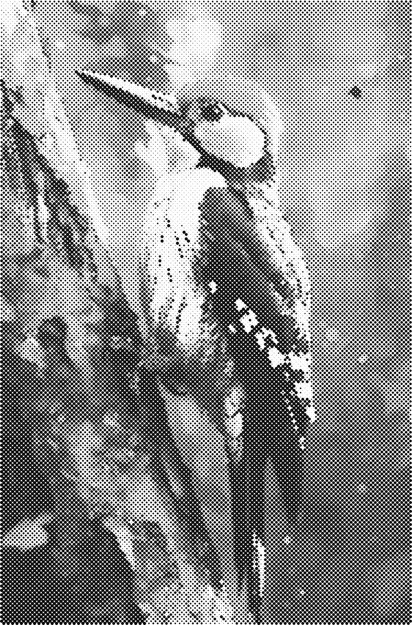 DOT Painting - Dieren op Voorbedrukt Canvas (40x60cm, 50x75cm, 60x90cm)