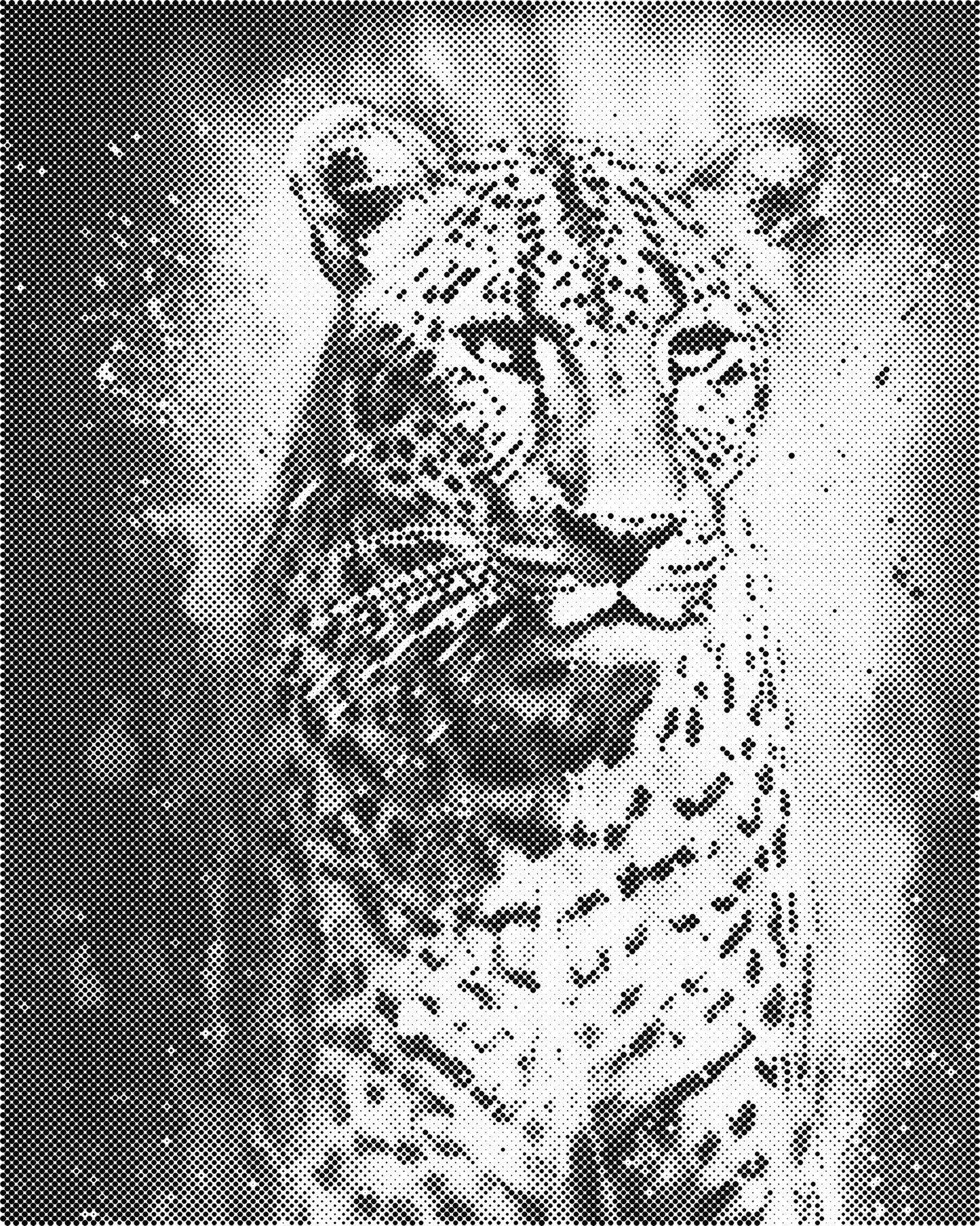 DOT Painting 40x50cm - Dieren Stippelkunst in Één Kleur
