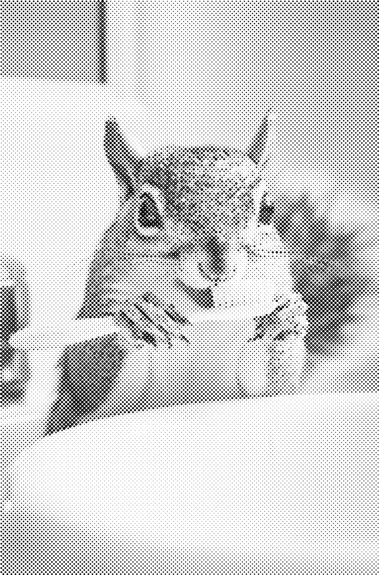 DOT Painting – Dieren in Bad (40x60cm / 50x75cm / 60x90cm)