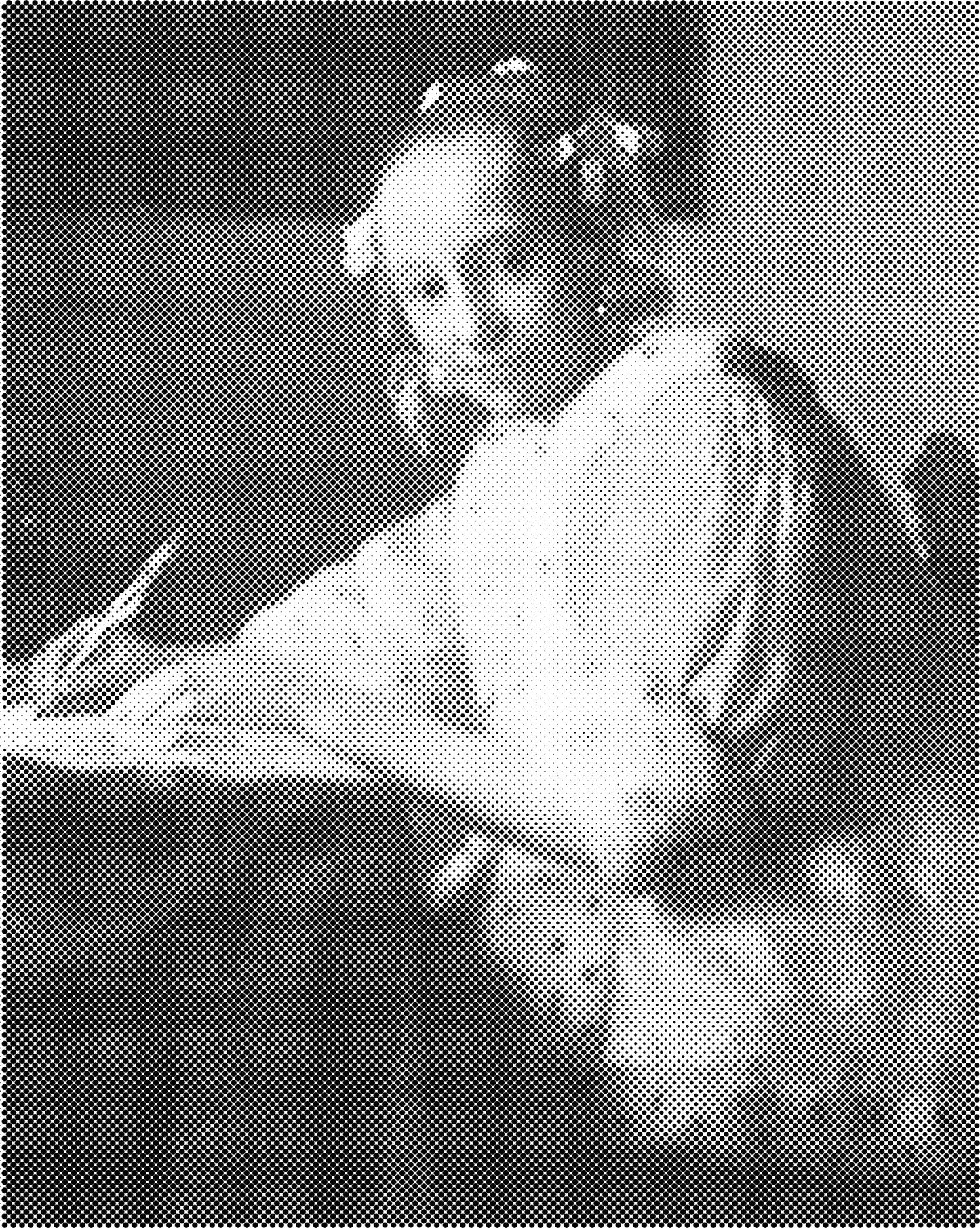 DOT Painting - Bekende Schilderijen in Één Kleur