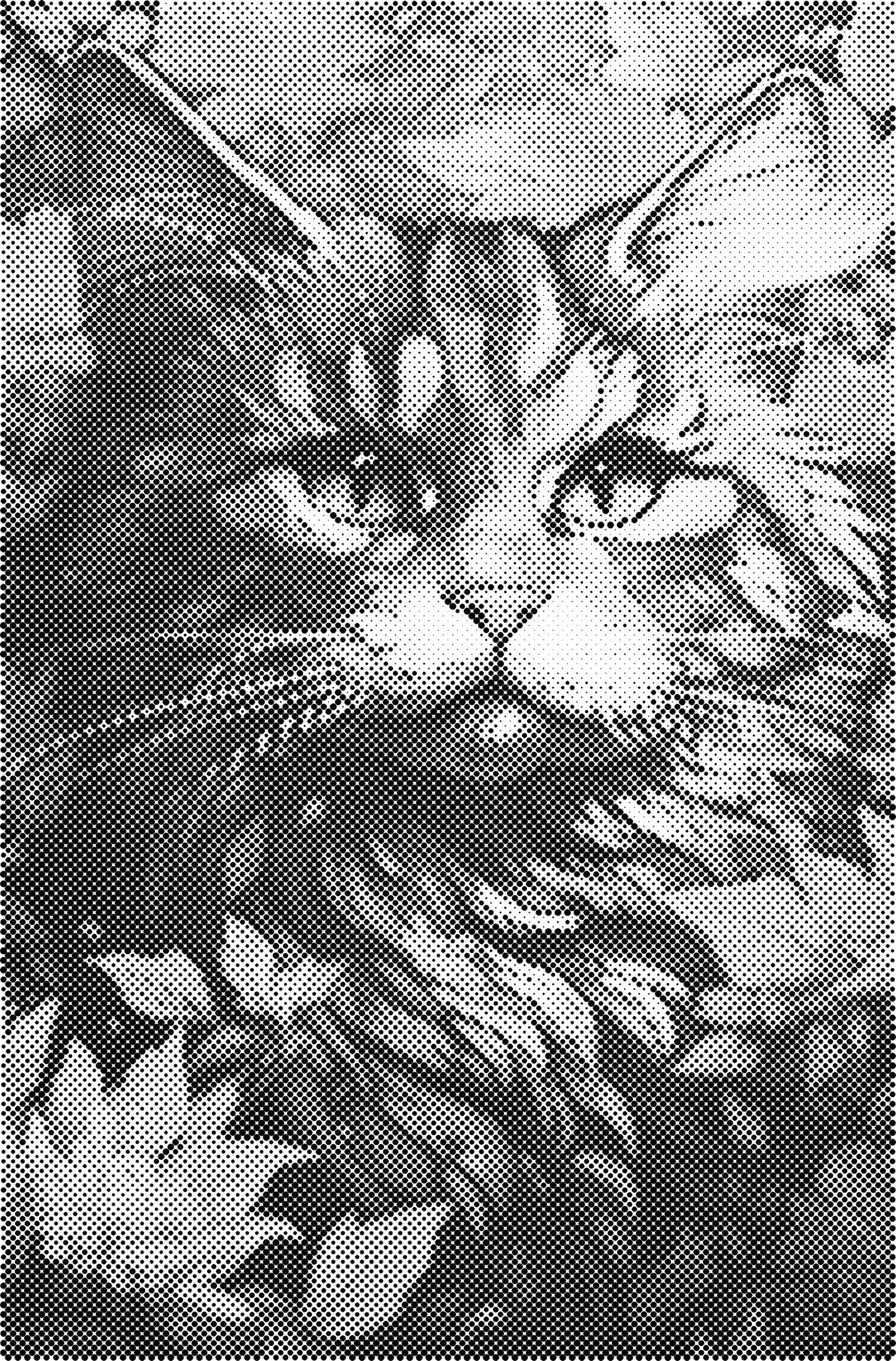 DOT Painting - Dierencollectie | Luipaard, Vogel, Hond, Ezel, Kat, Adelaar, Papegaai & Meer