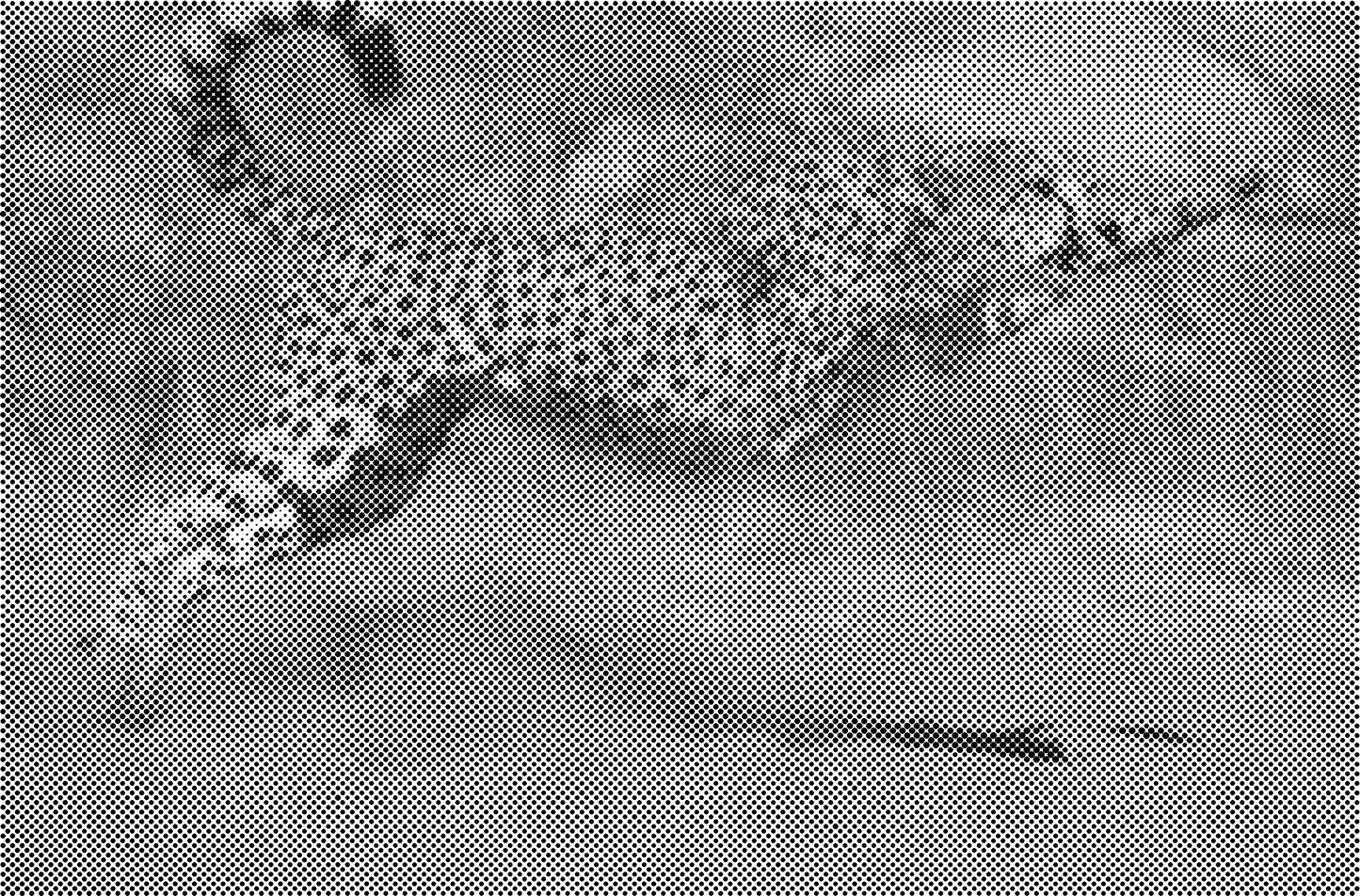DOT Painting - Een Kleur Stippelkunst met Dieren