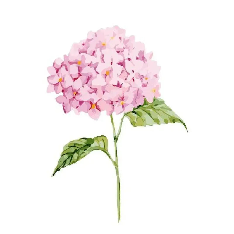 Schilderen op nummer - Klassieke Hortensia op Canvas