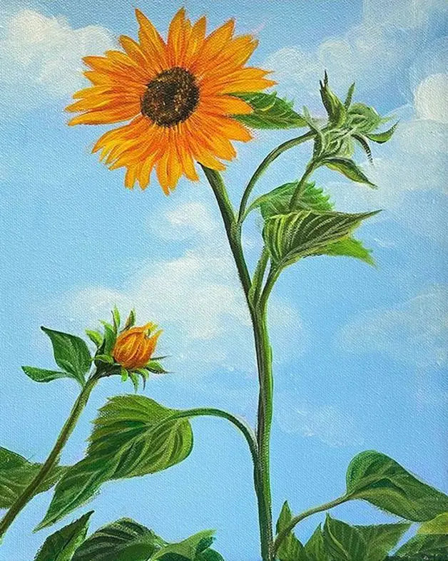 Schilderen op nummer - Bloemen op Linnen Canvas met Acrylverf