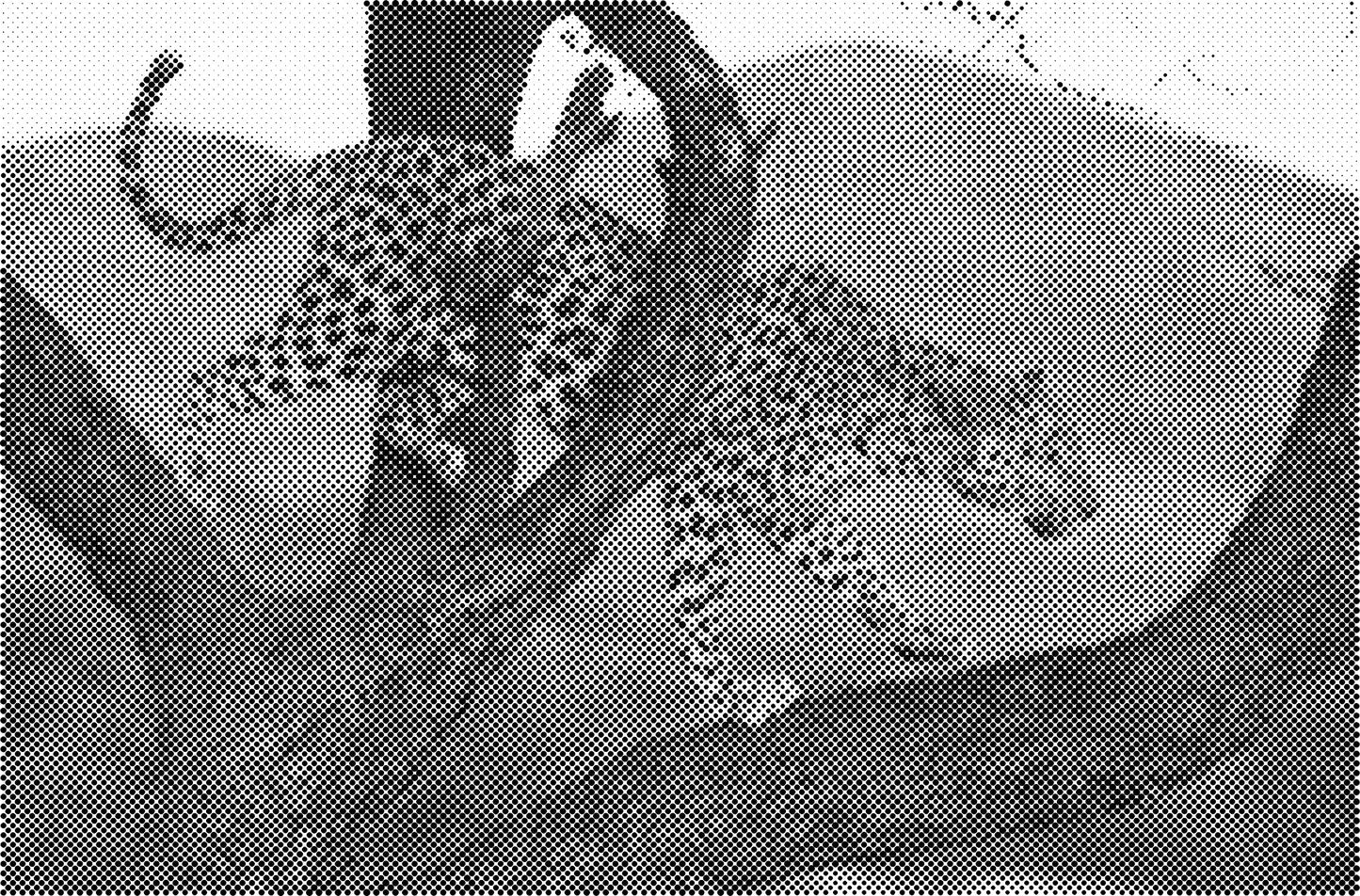 DOT Painting - Een Kleur Stippelkunst met Dieren