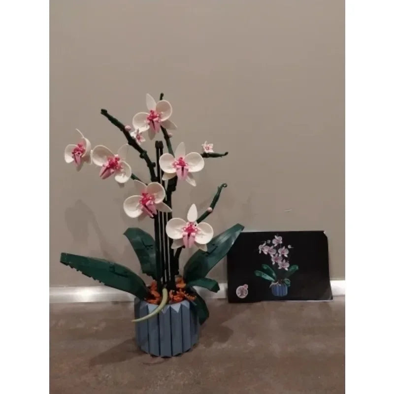 Bouwpakket Orchidee Boeket – Bloemen Bonsai