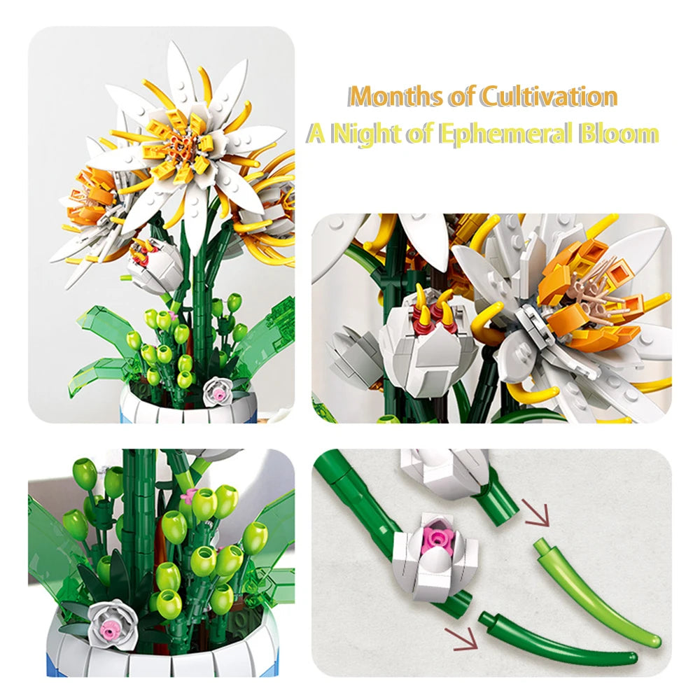 Bouwpakket Epiphyllum Bloem in Pot – Creatieve Decoratie en Geschenkidee