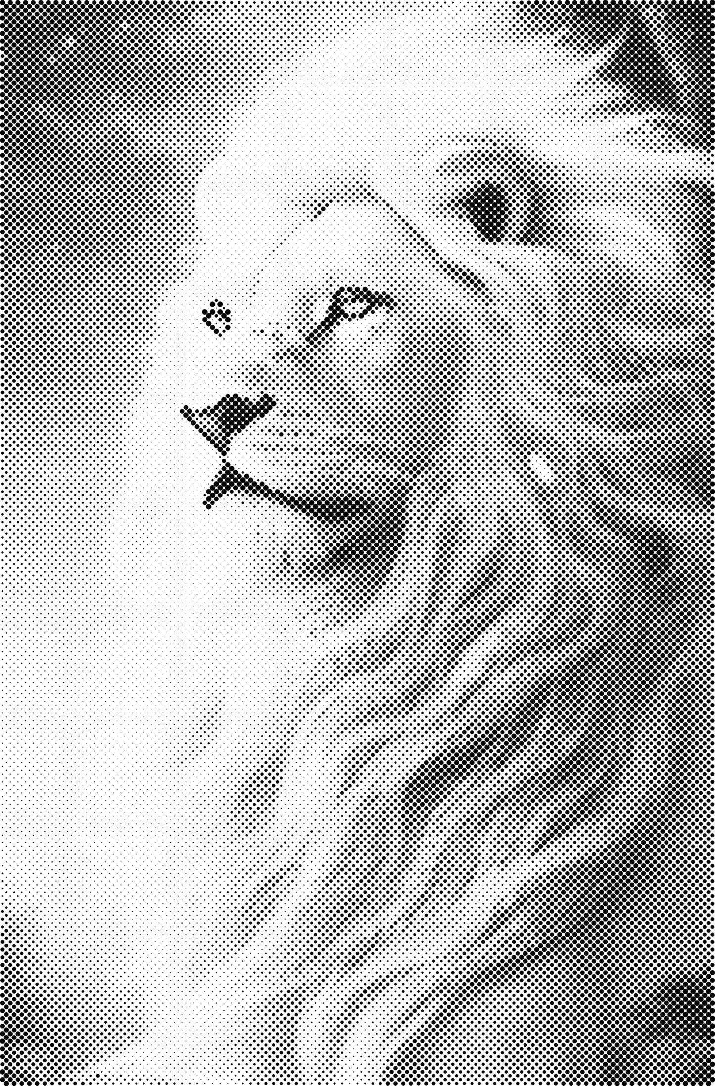 DOT Painting - Dieren op Voorbedrukt Canvas (40x60cm, 50x75cm, 60x90cm)