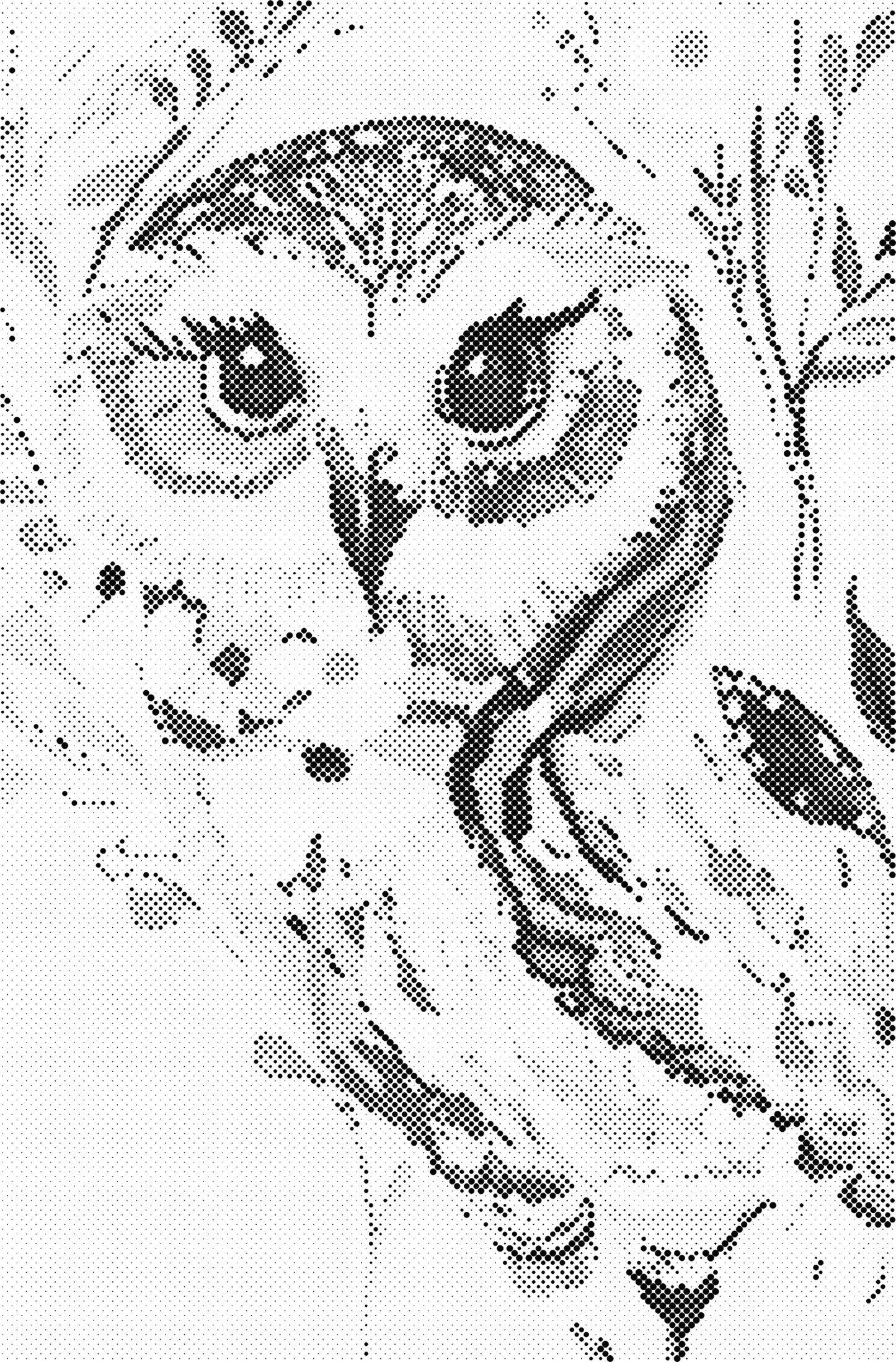 DOT Painting - Dieren op Voorbedrukt Canvas (40x60cm, 50x75cm, 60x90cm)
