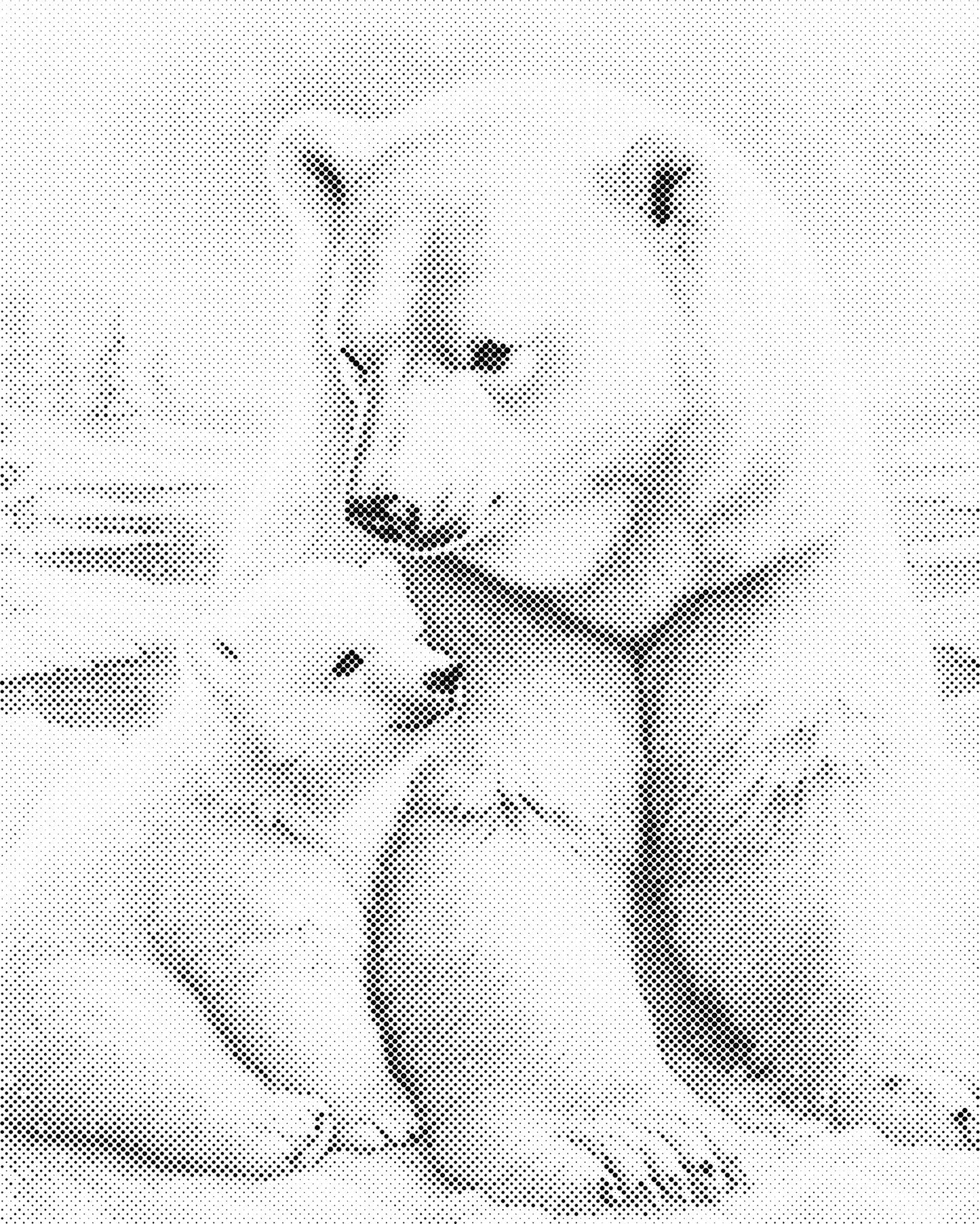 DOT Painting 40x50cm - Dieren Stippelkunst in Één Kleur
