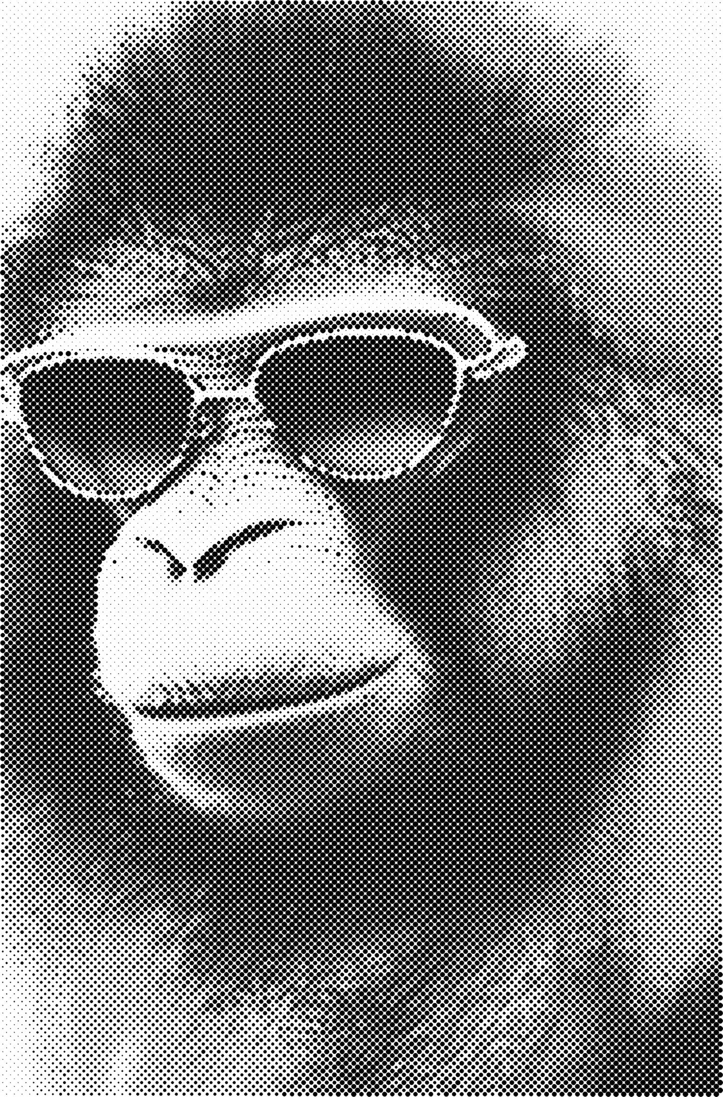 DOT Painting - Dieren op Voorbedrukt Canvas (40x60cm, 50x75cm, 60x90cm)