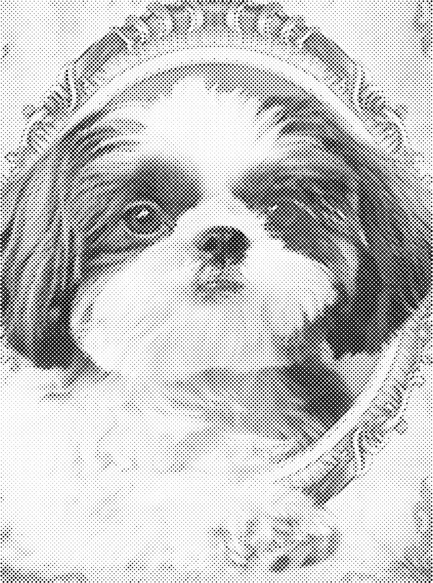 DOT Painting Dieren 30x40cm - 1 kleur stippen - stippelschilderij - Hondje