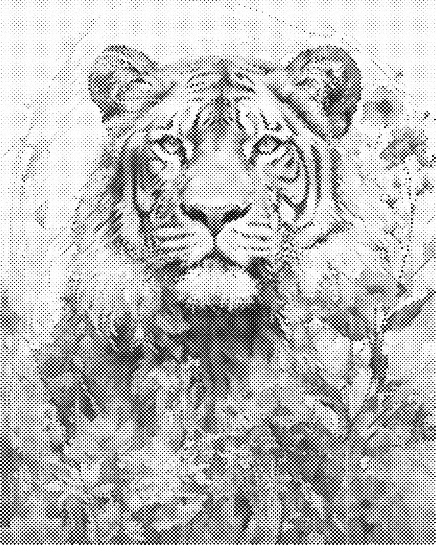 DOT Painting 40x50cm - Dierenmotief - Één Kleur Stippen - stippelschilderij - Tijger 03