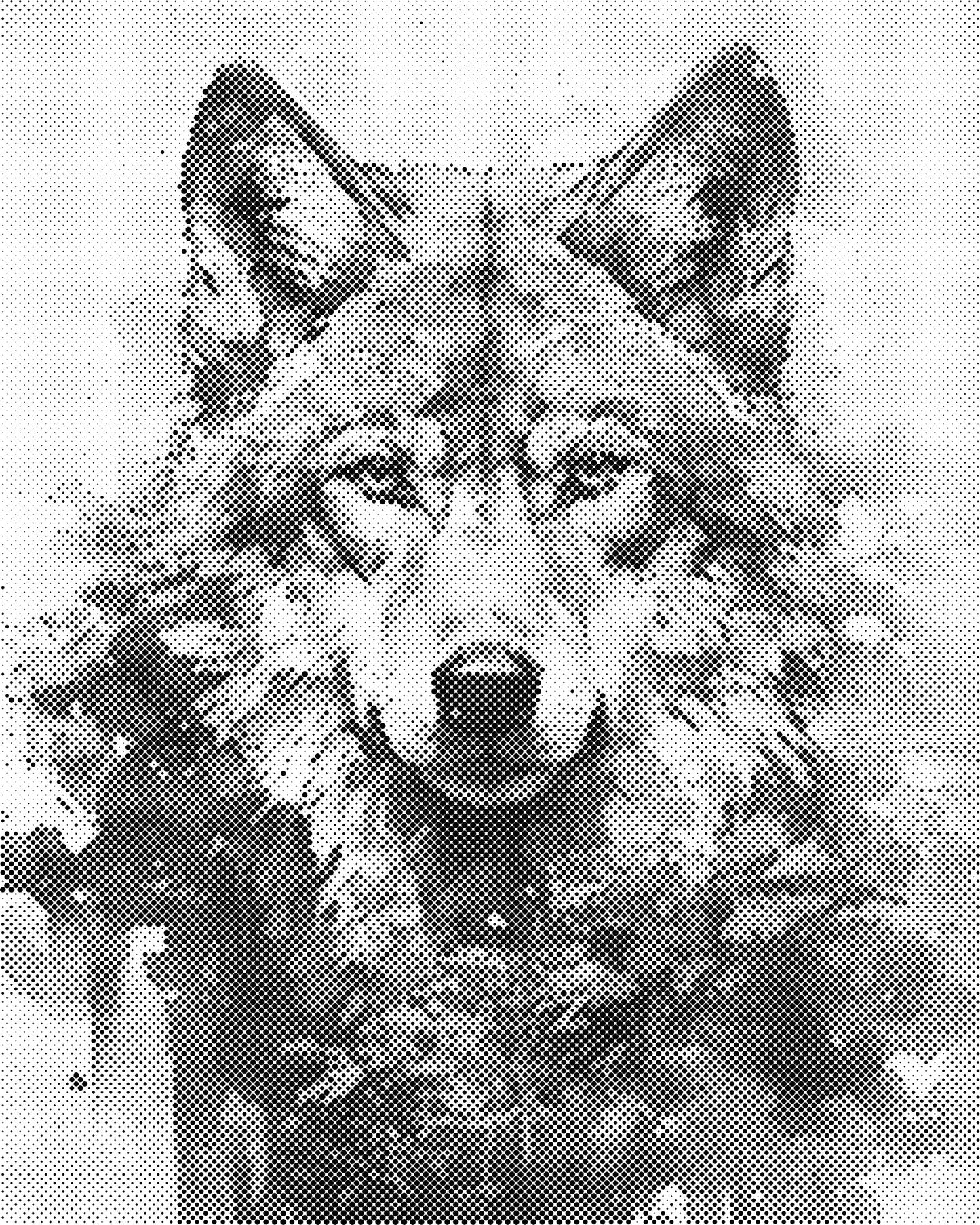 DOT Painting 40x50cm - Dierenmotief - Één Kleur Stippen - stippelschilderij - Wolf 02
