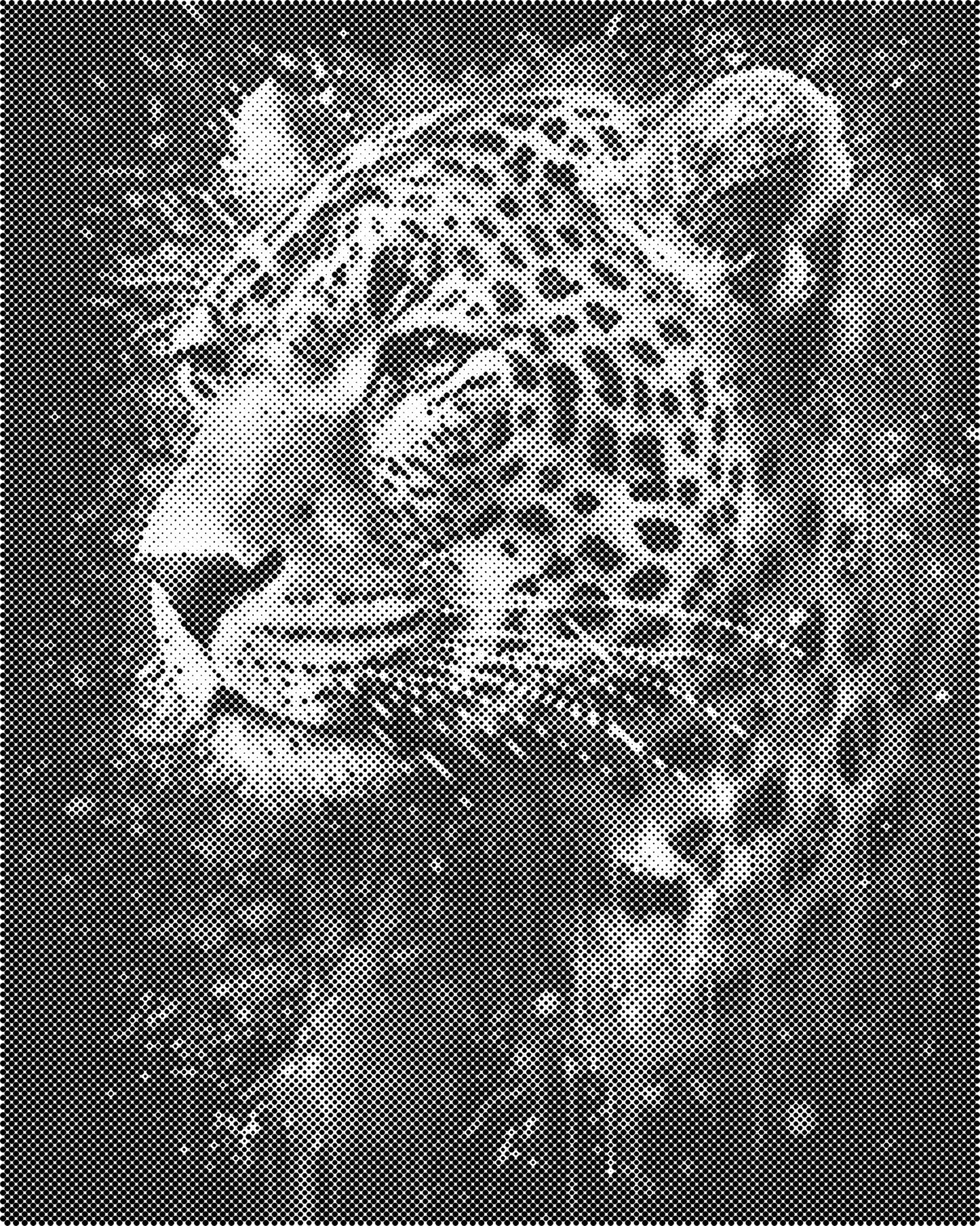 DOT Painting 40x50cm - Dieren Stippelkunst in Één Kleur